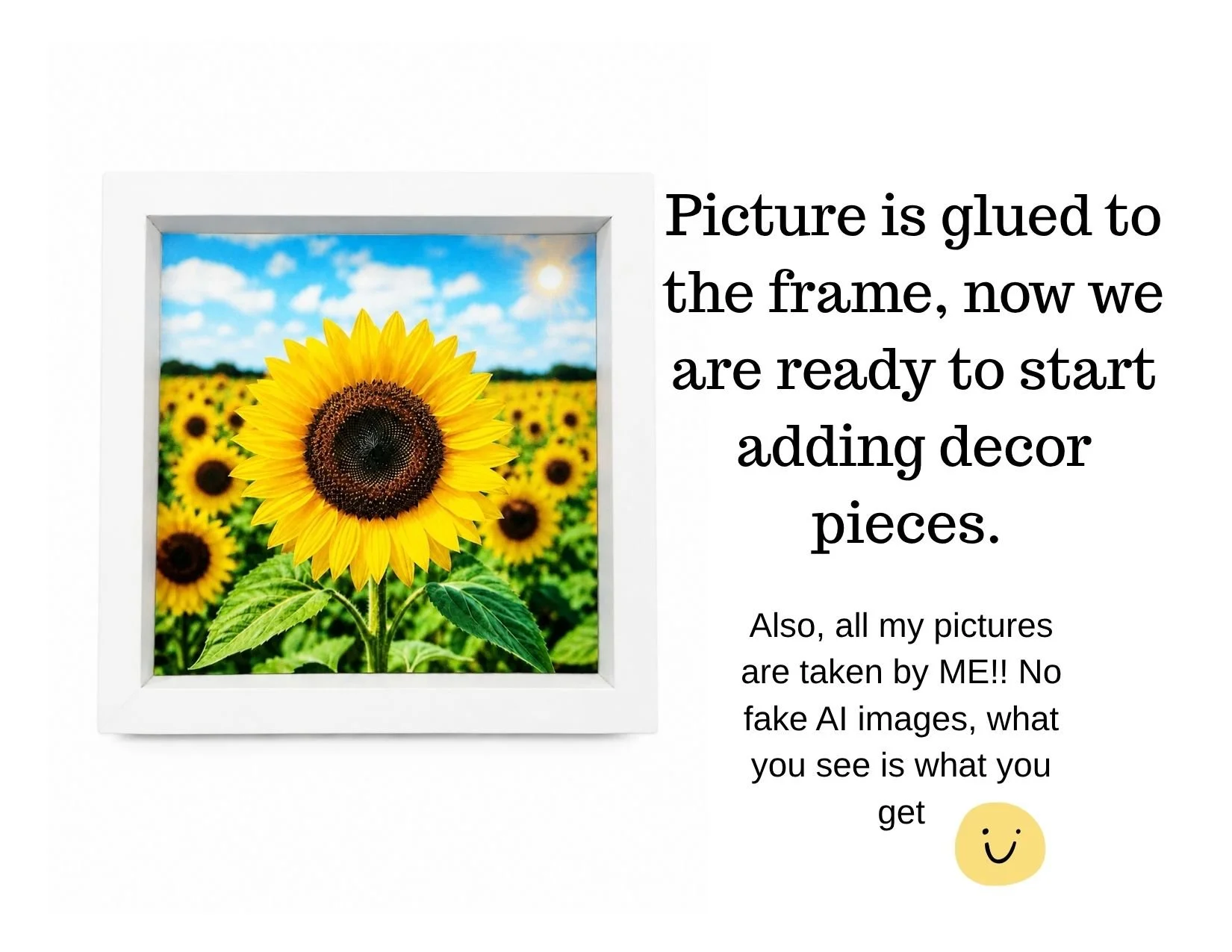 sunflower details.jpg