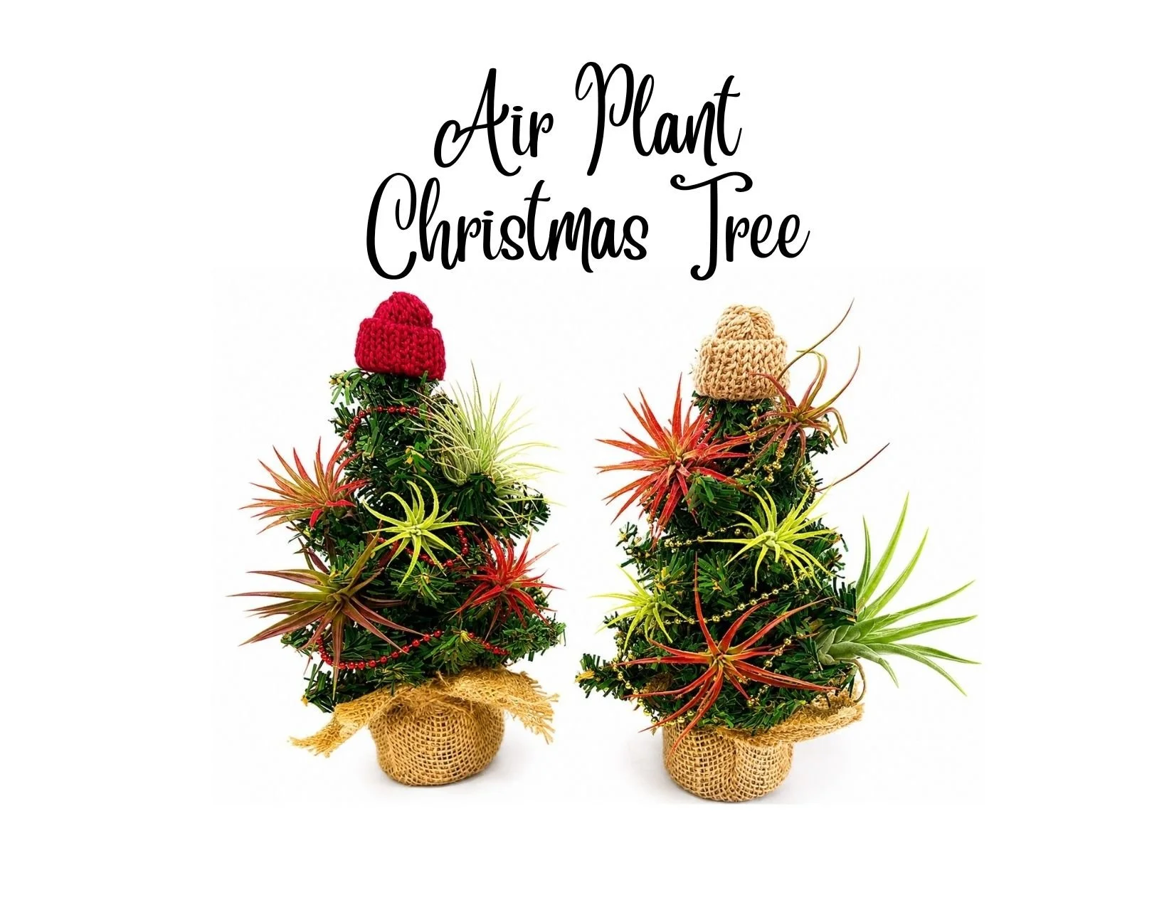 Mini Christmas tree.jpg (Copy)