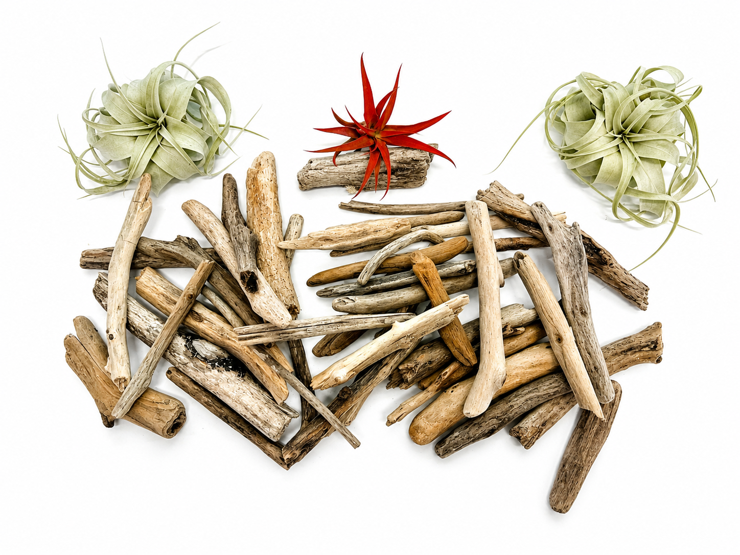 driftwood.png