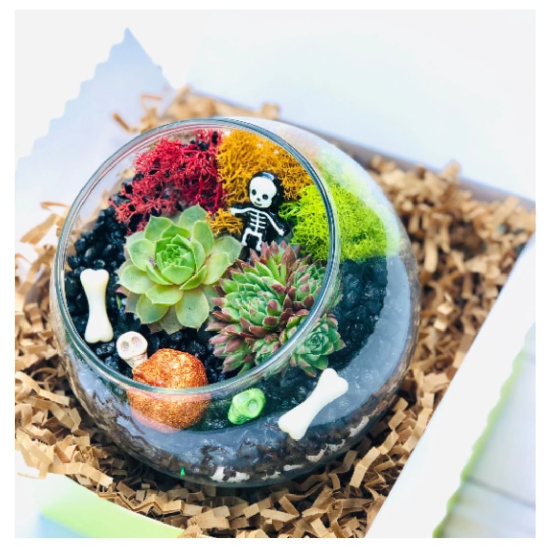 Halloween Terrarium
