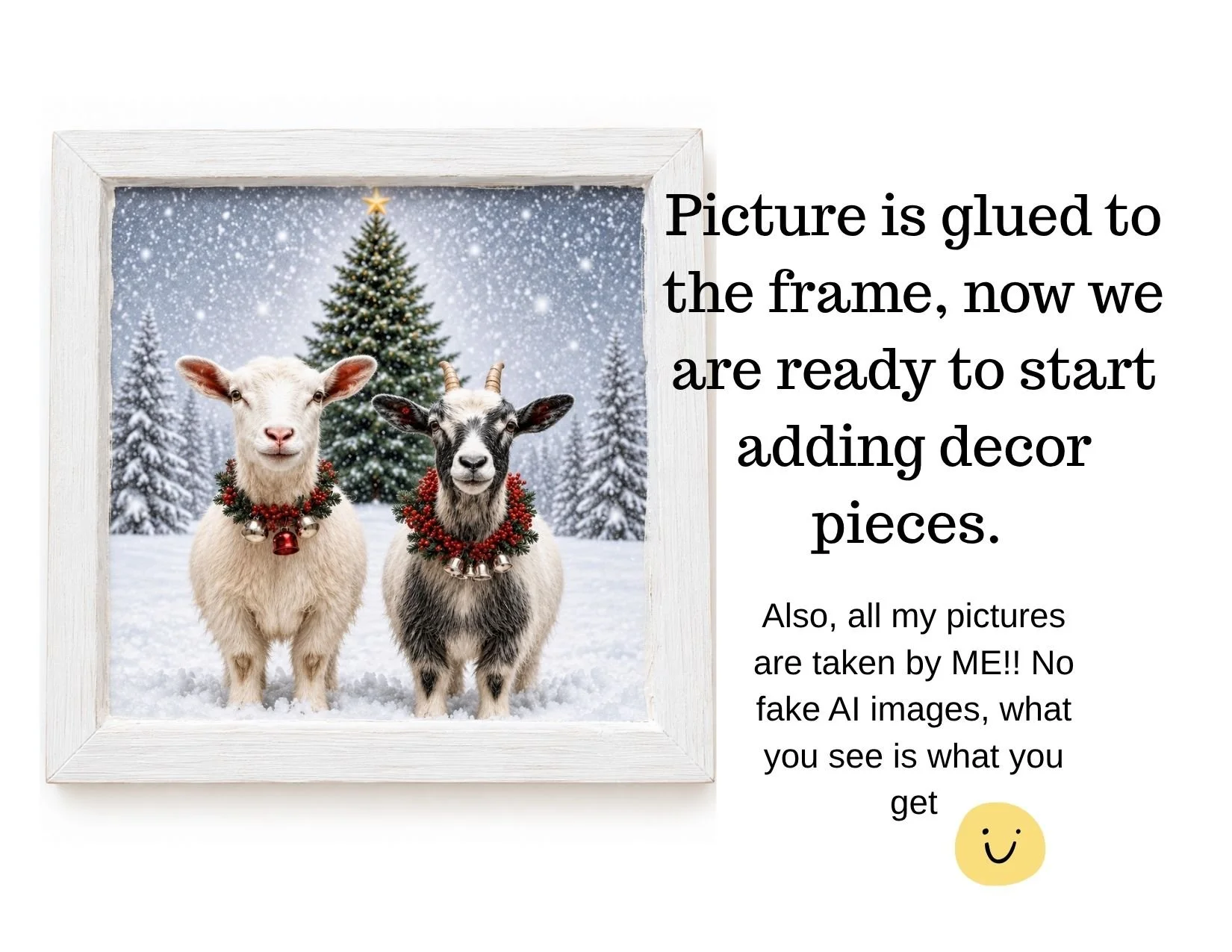goat details.jpg
