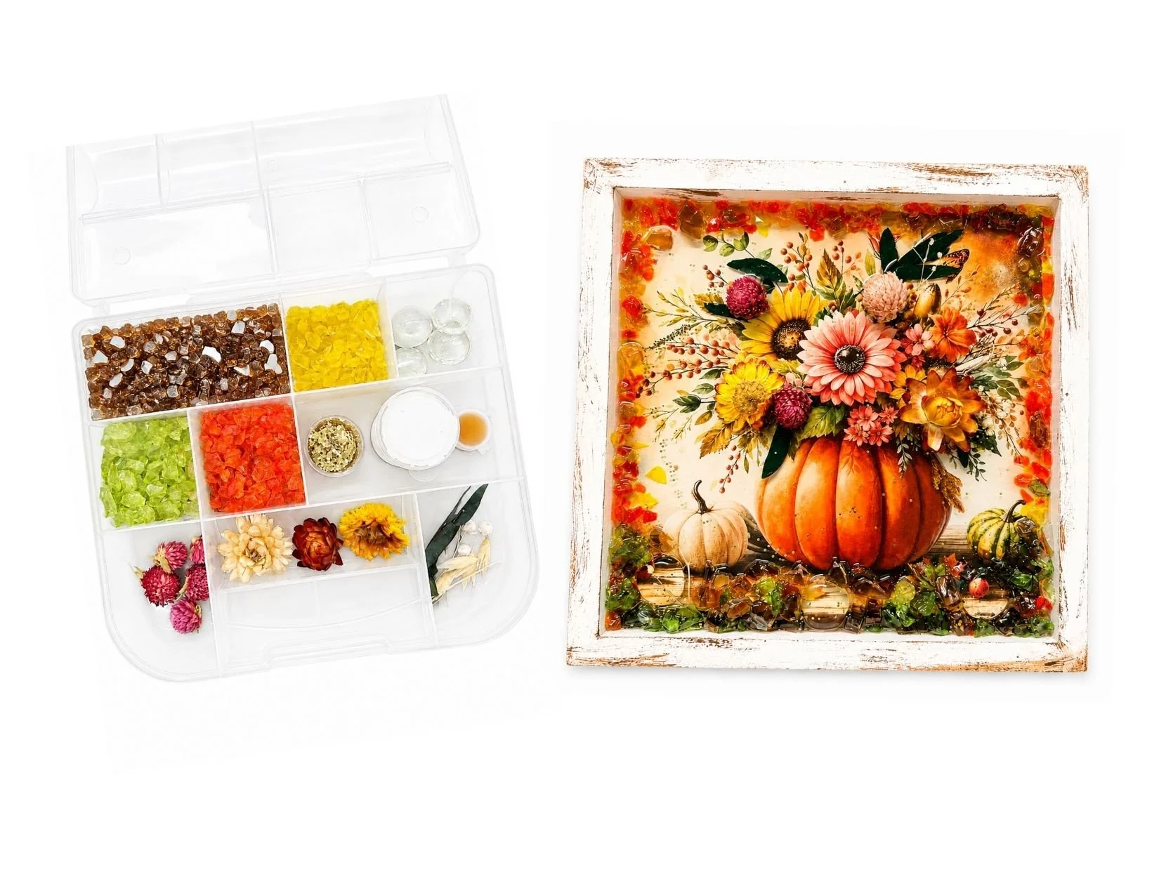 pumpkin kit.jpg