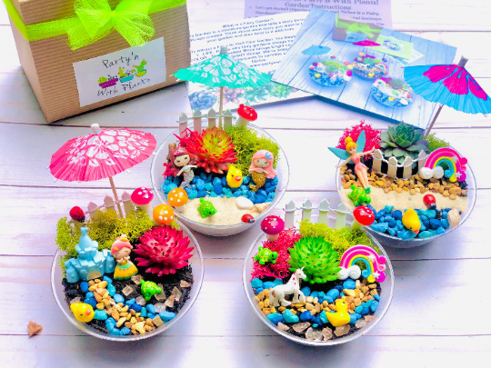 Mini Fairy Garden Kit