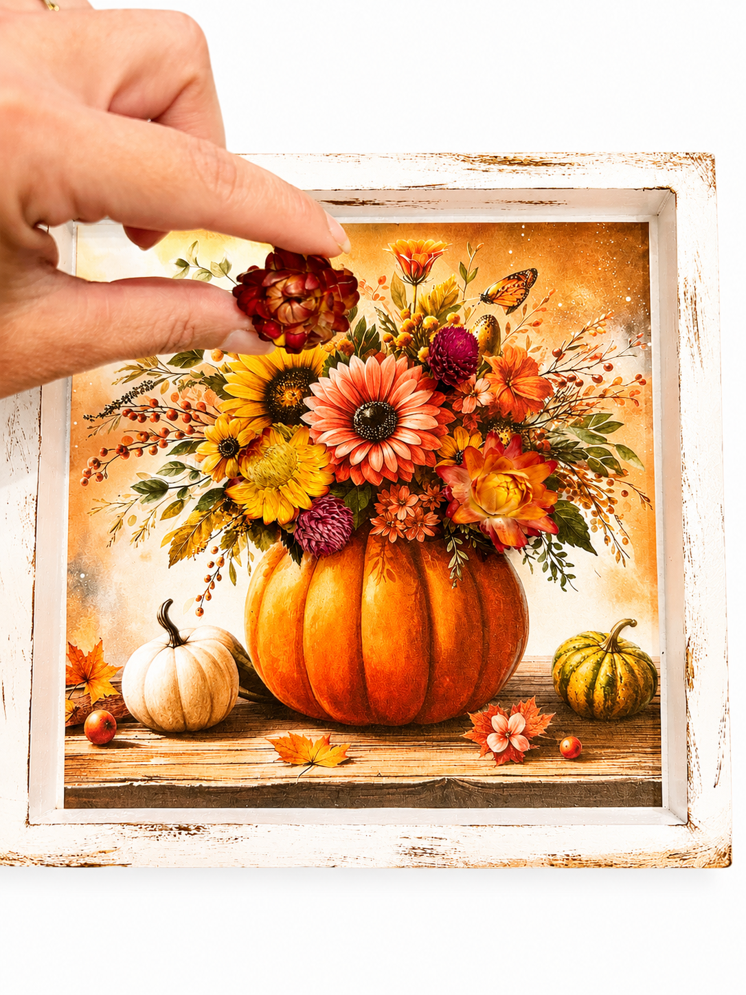 pumpkin5.png