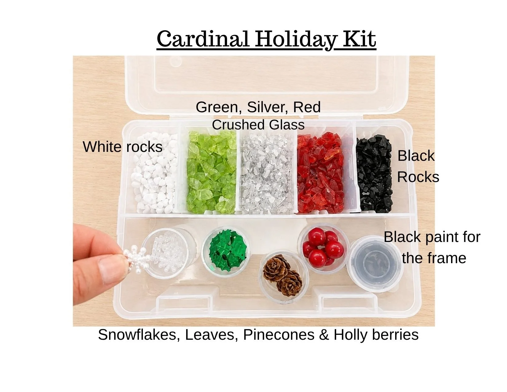 Cardinalsupplies canva.jpg
