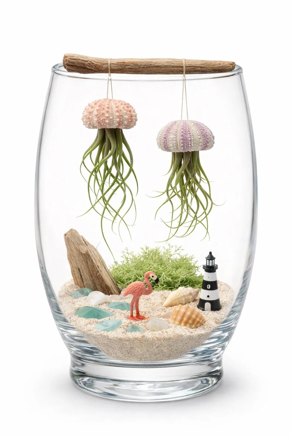 Jellyfish Air Plant Terrarium