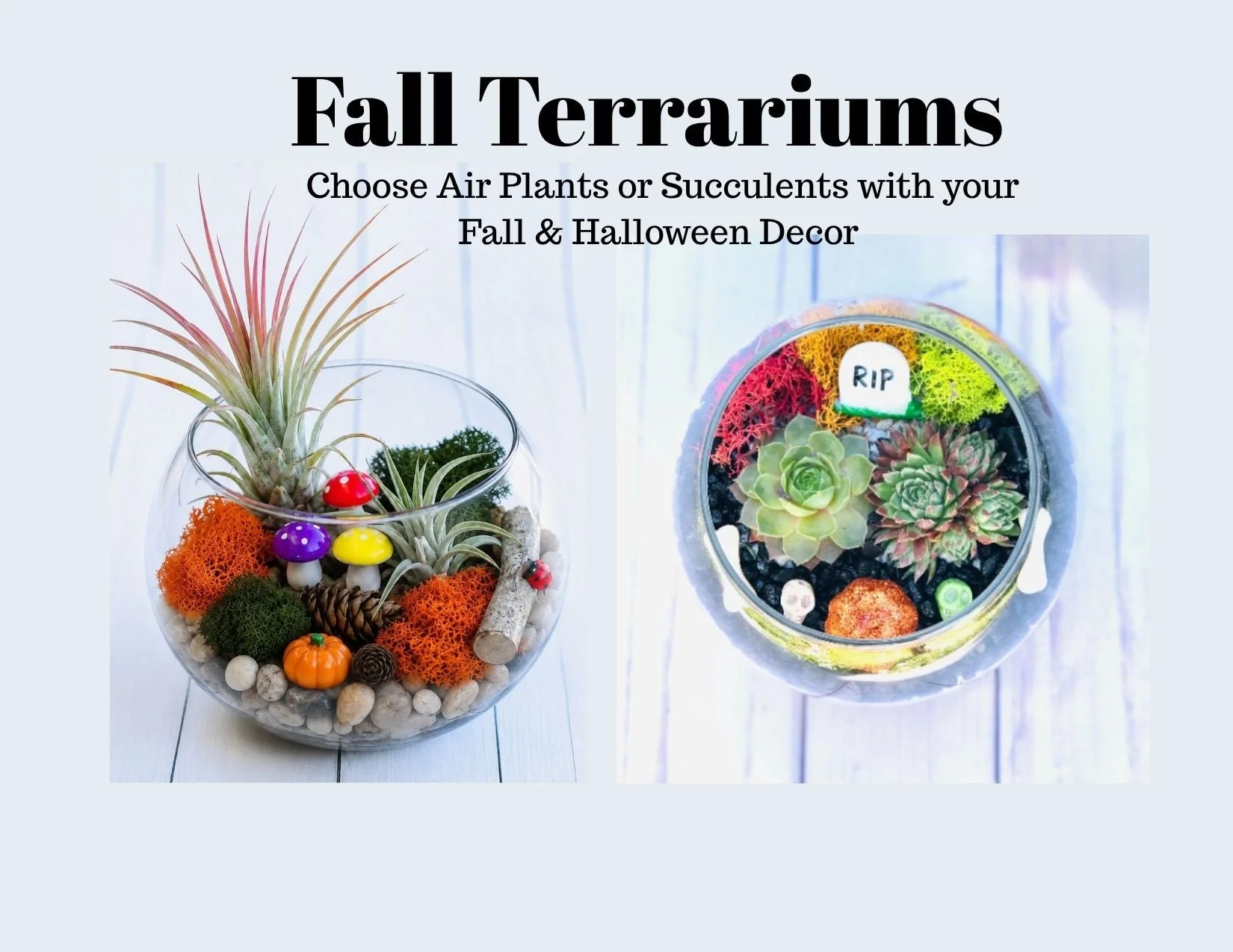 Fall & Halloween Terrariums: Oct. 22nd at Wolf Creek Winery