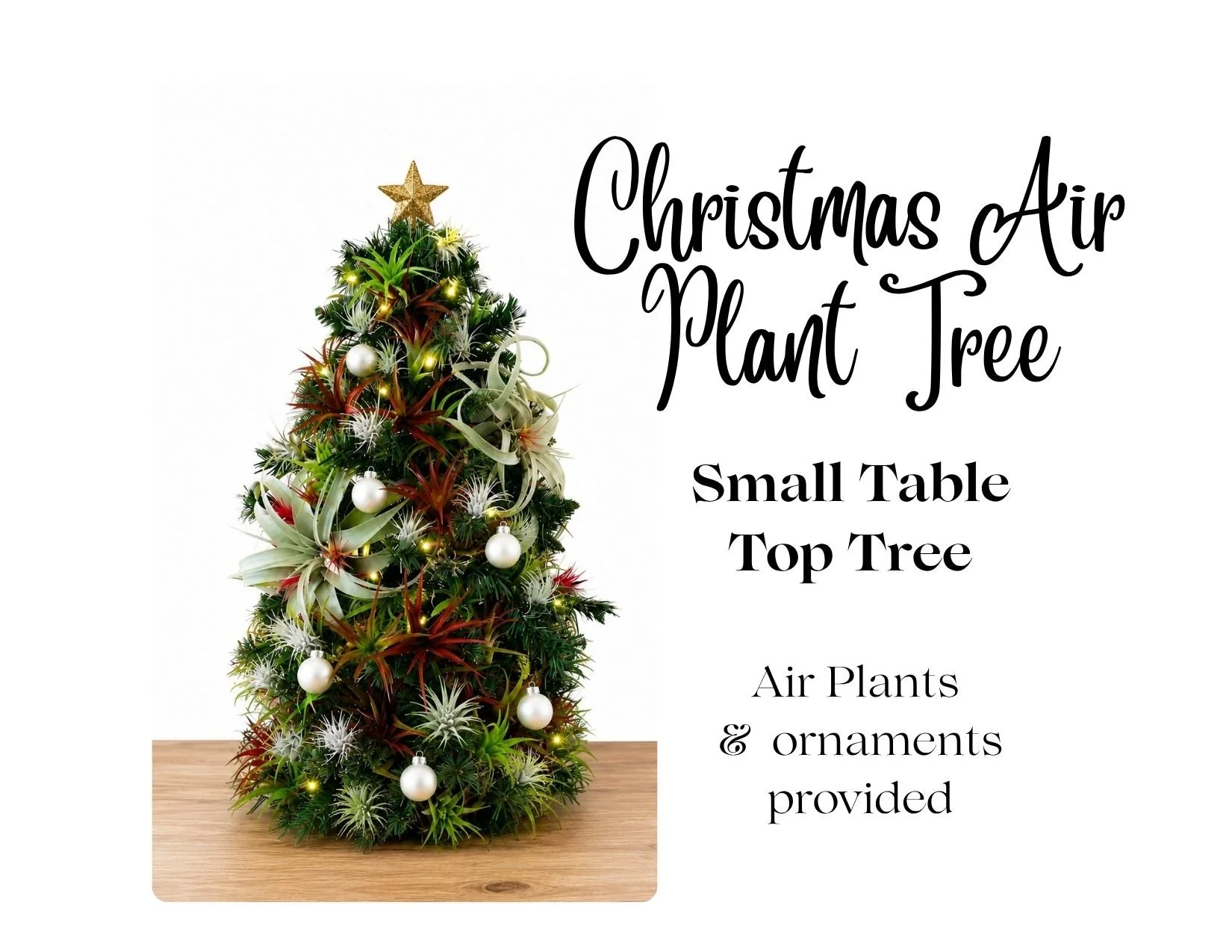 Air Plant Christmas Tree Workshop: Nov. 24th at Wolf Creek Winery