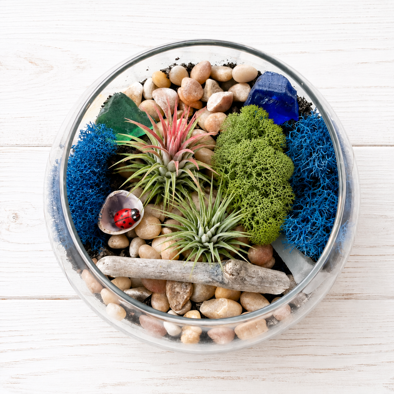 Air Plant Sea Glass & Driftwood