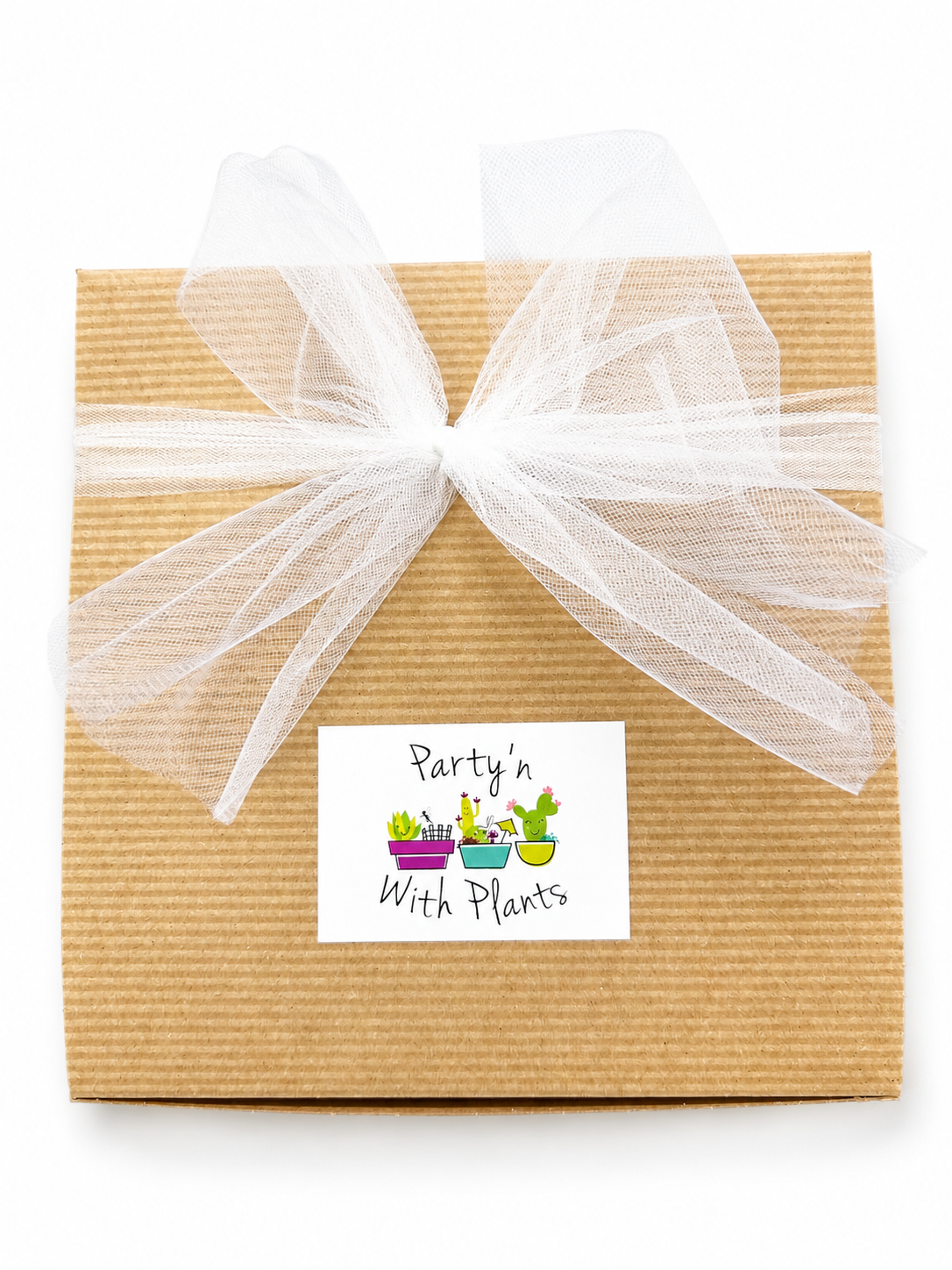 box1.png