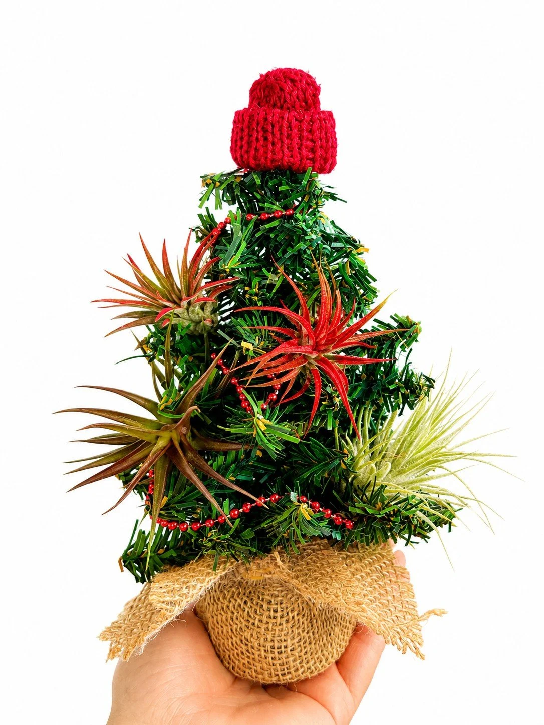 Tree3.jpeg (Copy)