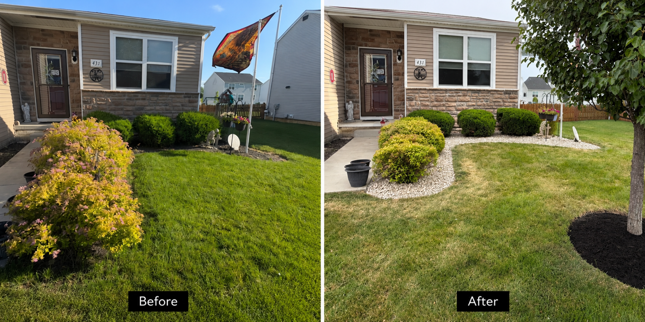 Before After Photo .png