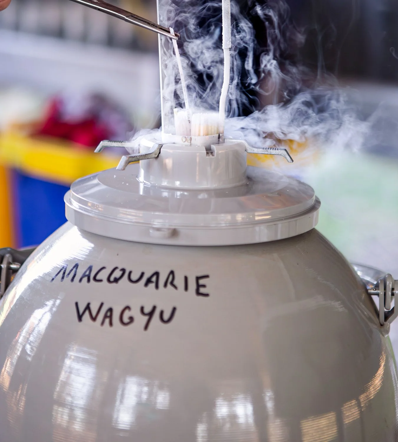 A close-up of a stainless steel food warmer with notes written on it, containing steam rising from inside. The notes read 'MACQUARIE WAGYU'.