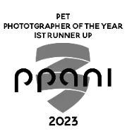PPANI-2023.webp