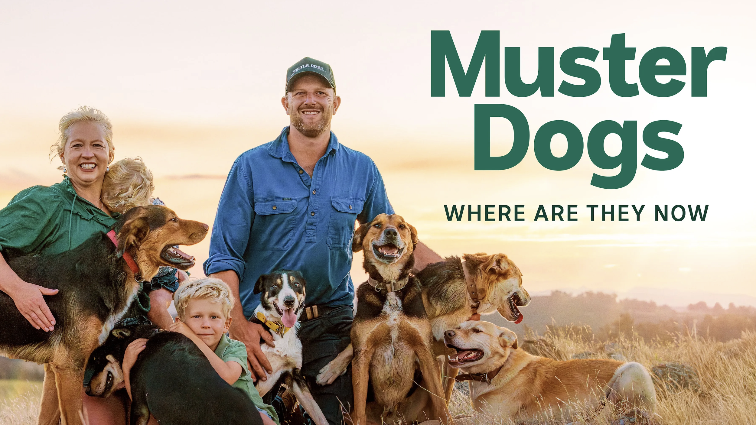 Muster Dogs: Where are they now? 
TV SERIES