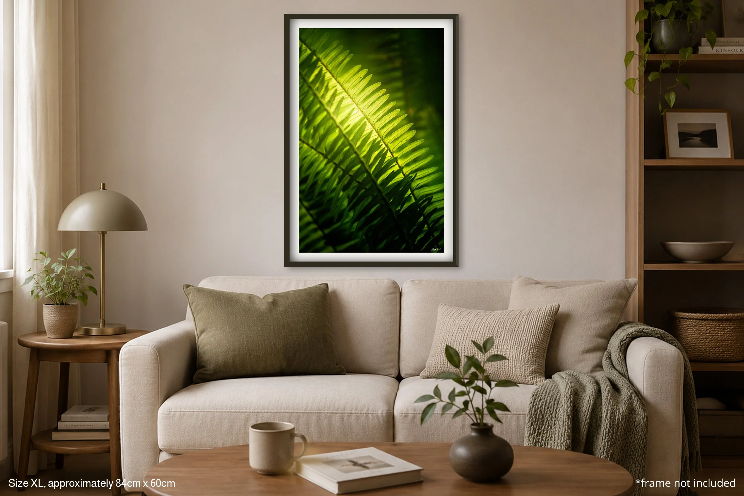 Fern_A1.jpg