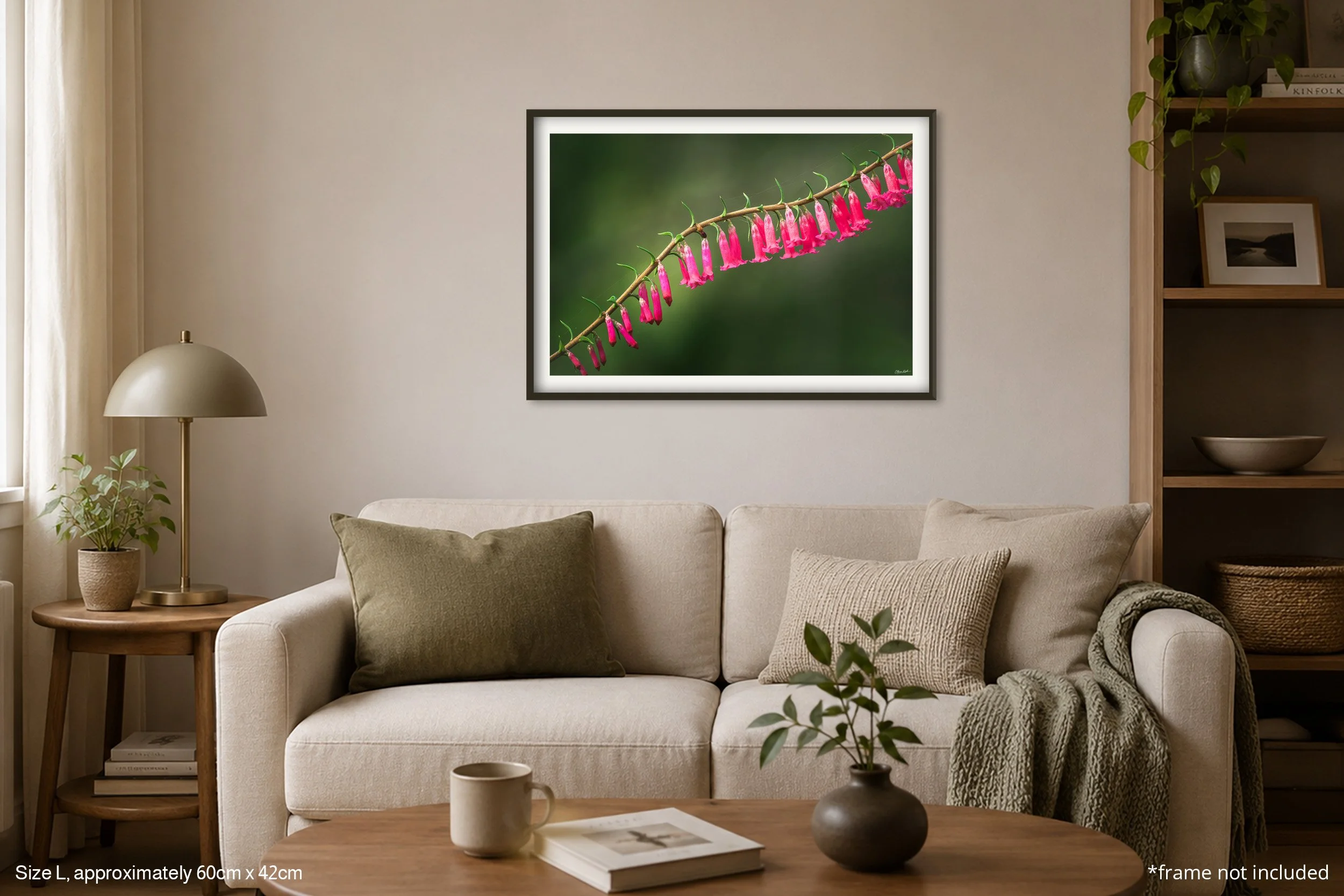 Epacris_A2.jpg