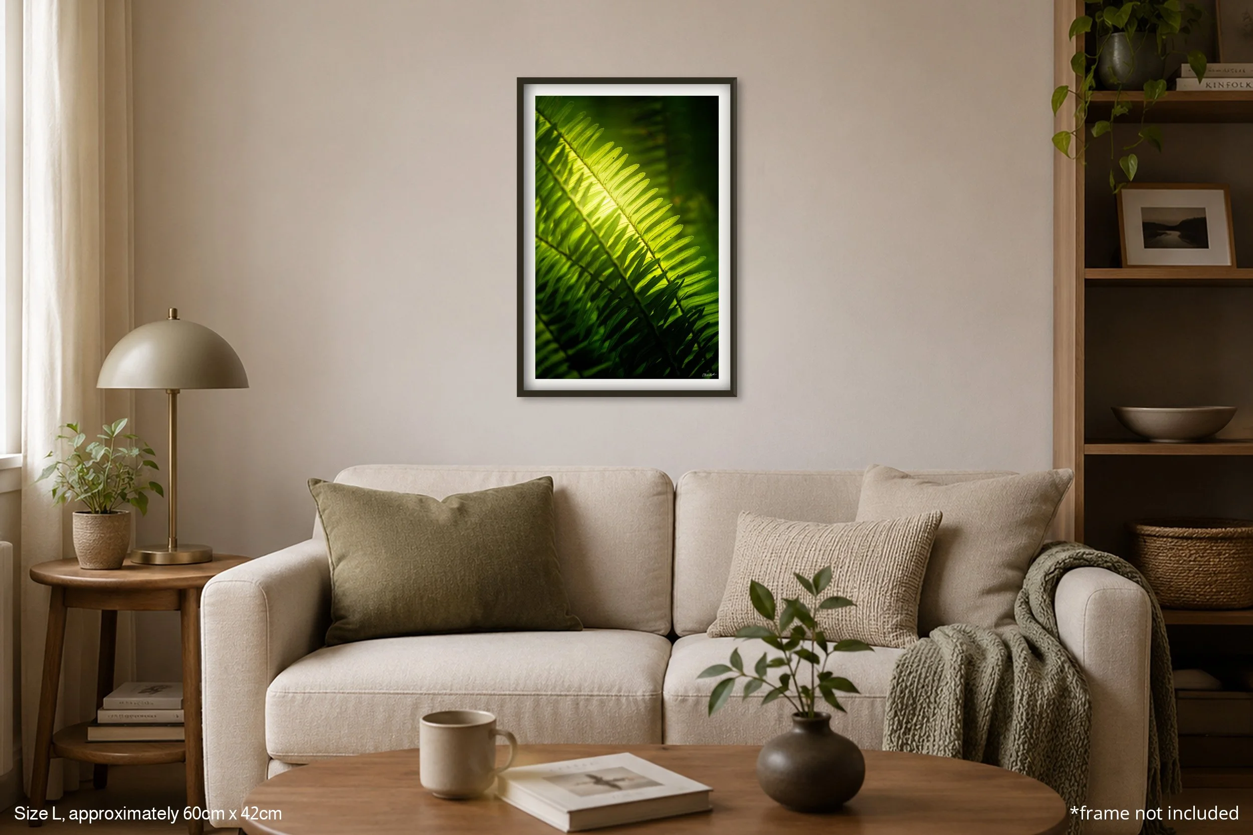 Fern_A2.jpg