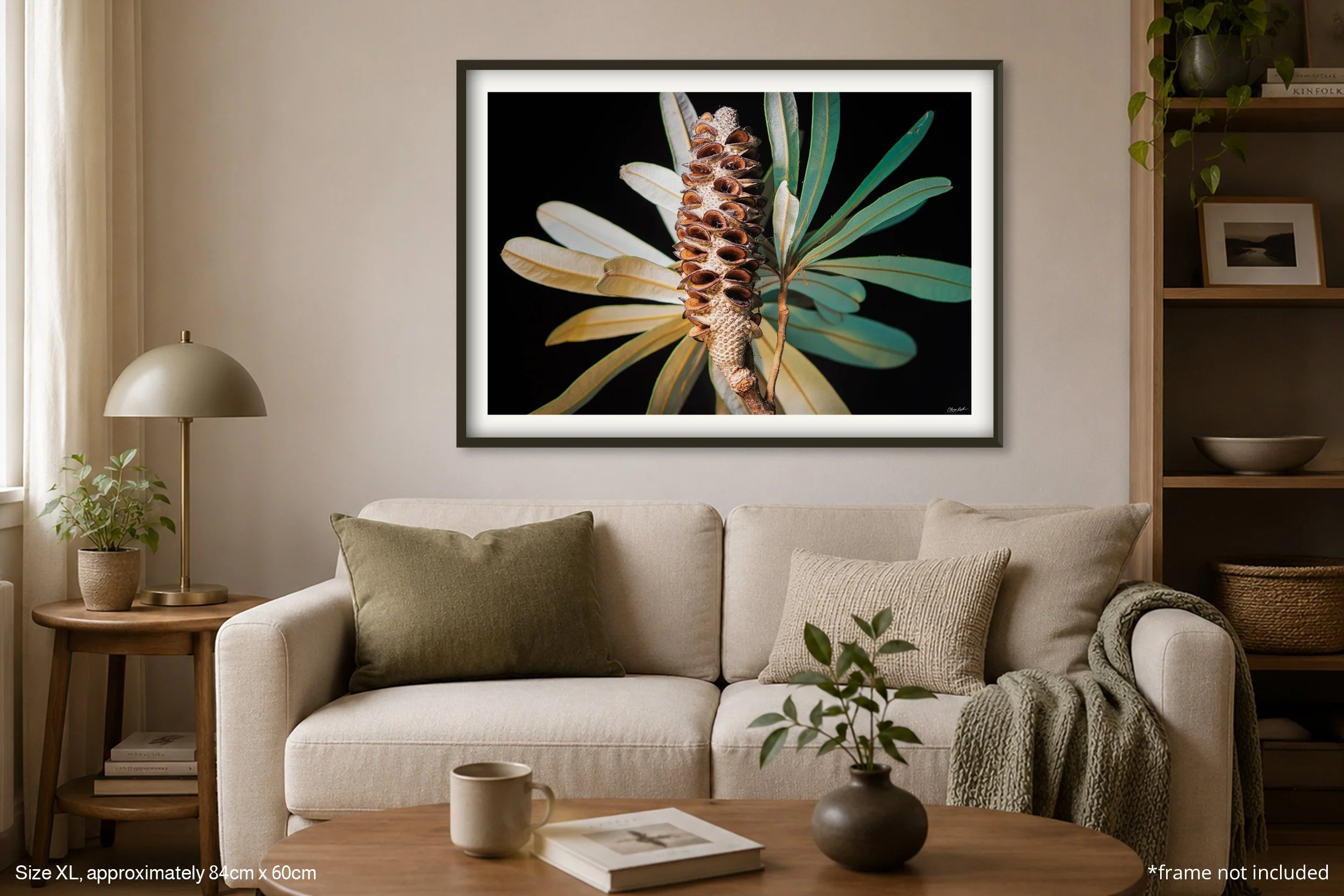 Banksia_A1.jpg
