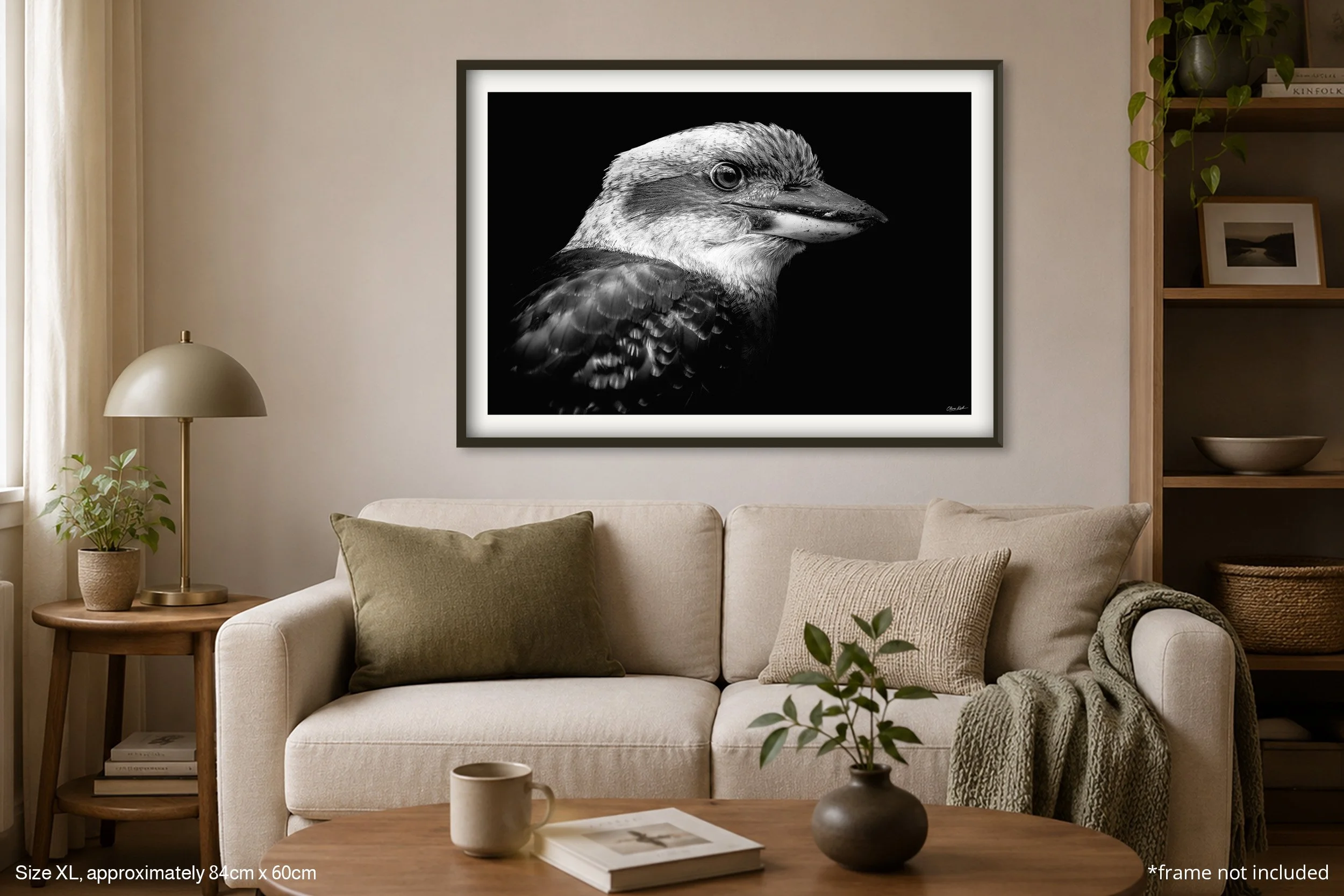 Kooka_A1.jpg