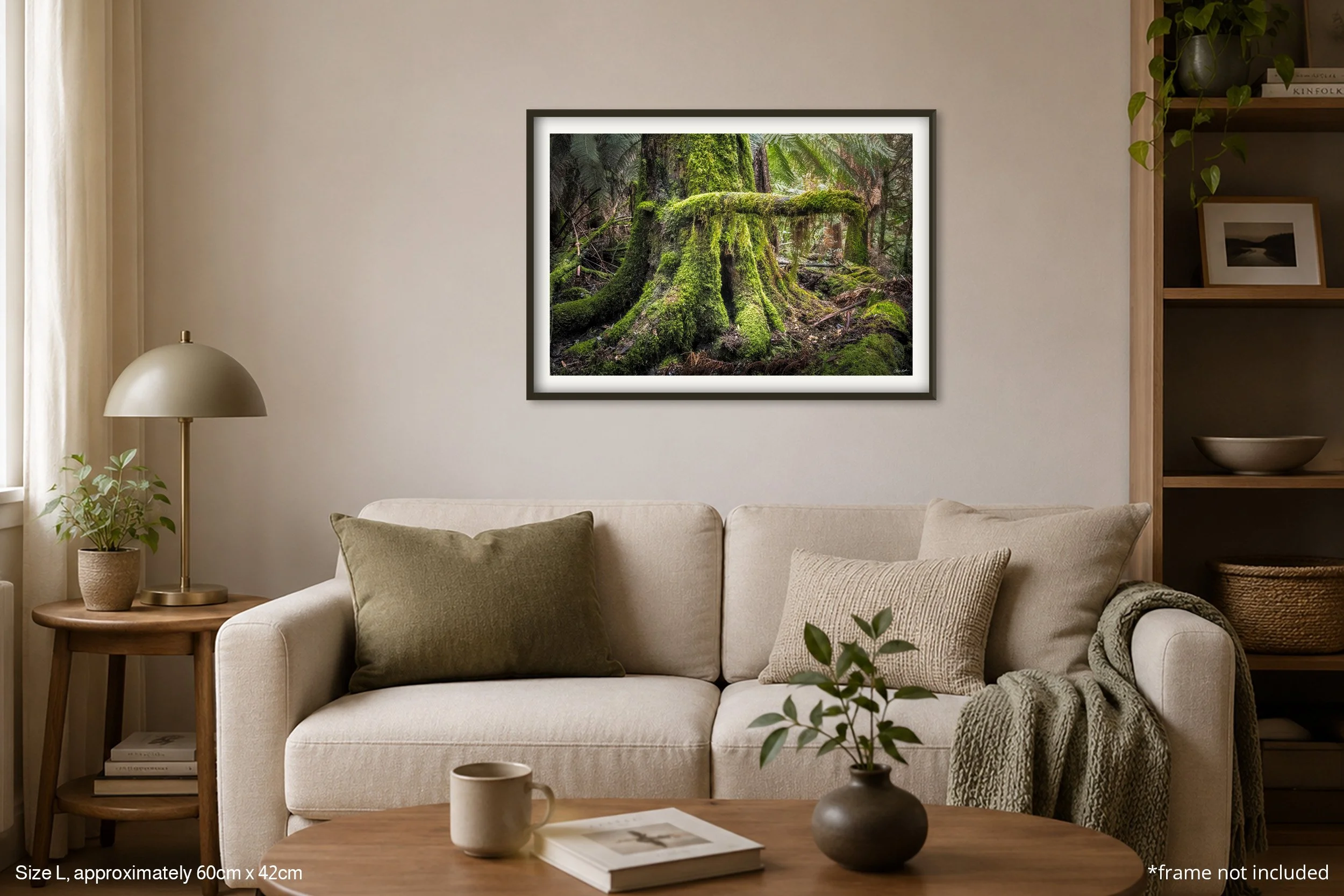 Moss_A2.jpg