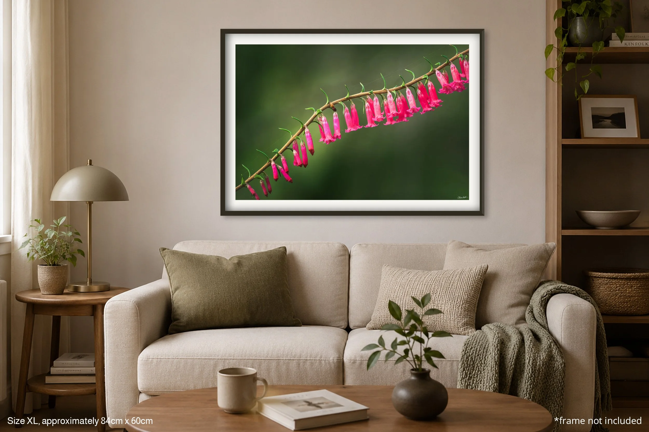 Epacris_A1.jpg