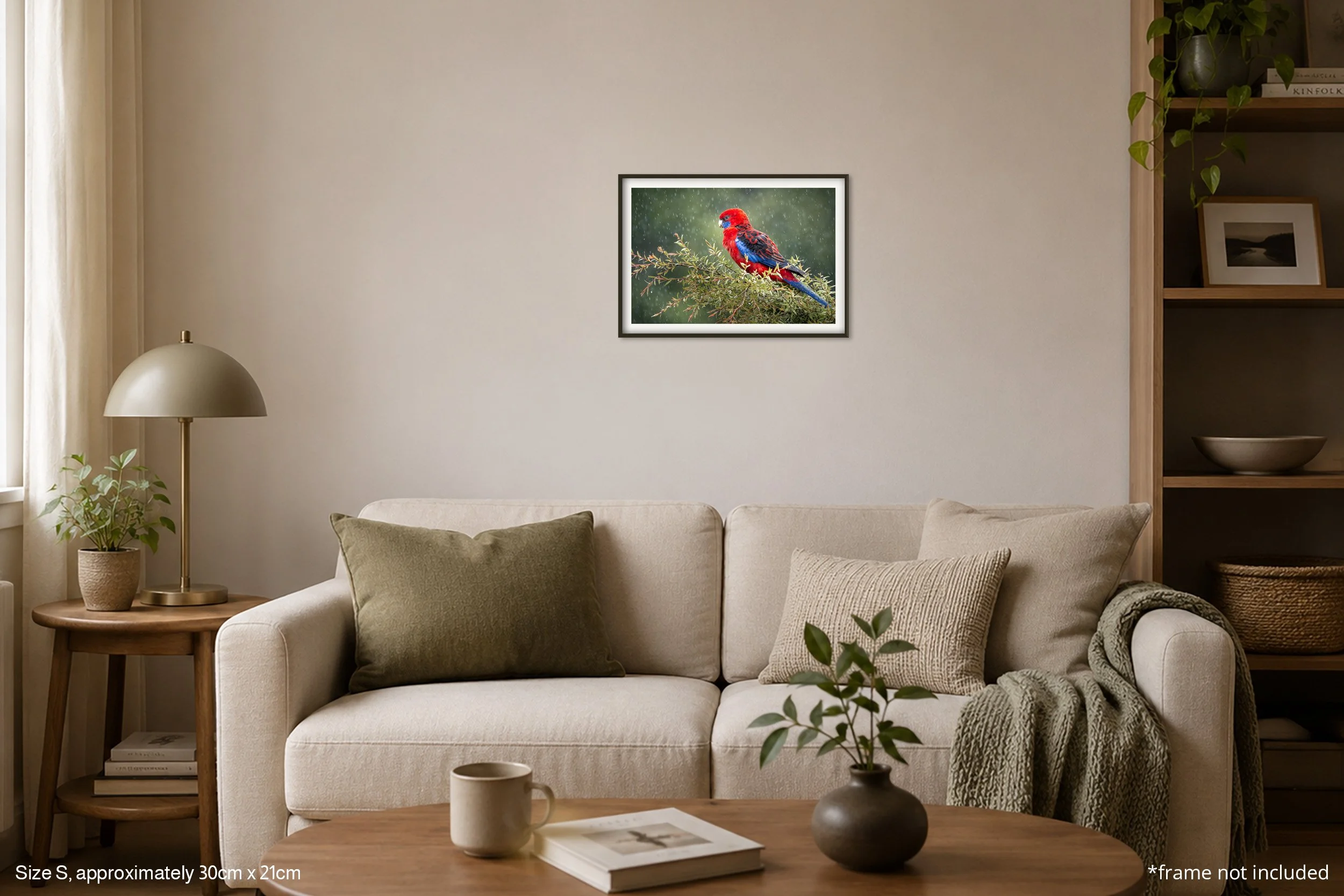Rosella_A4.jpg