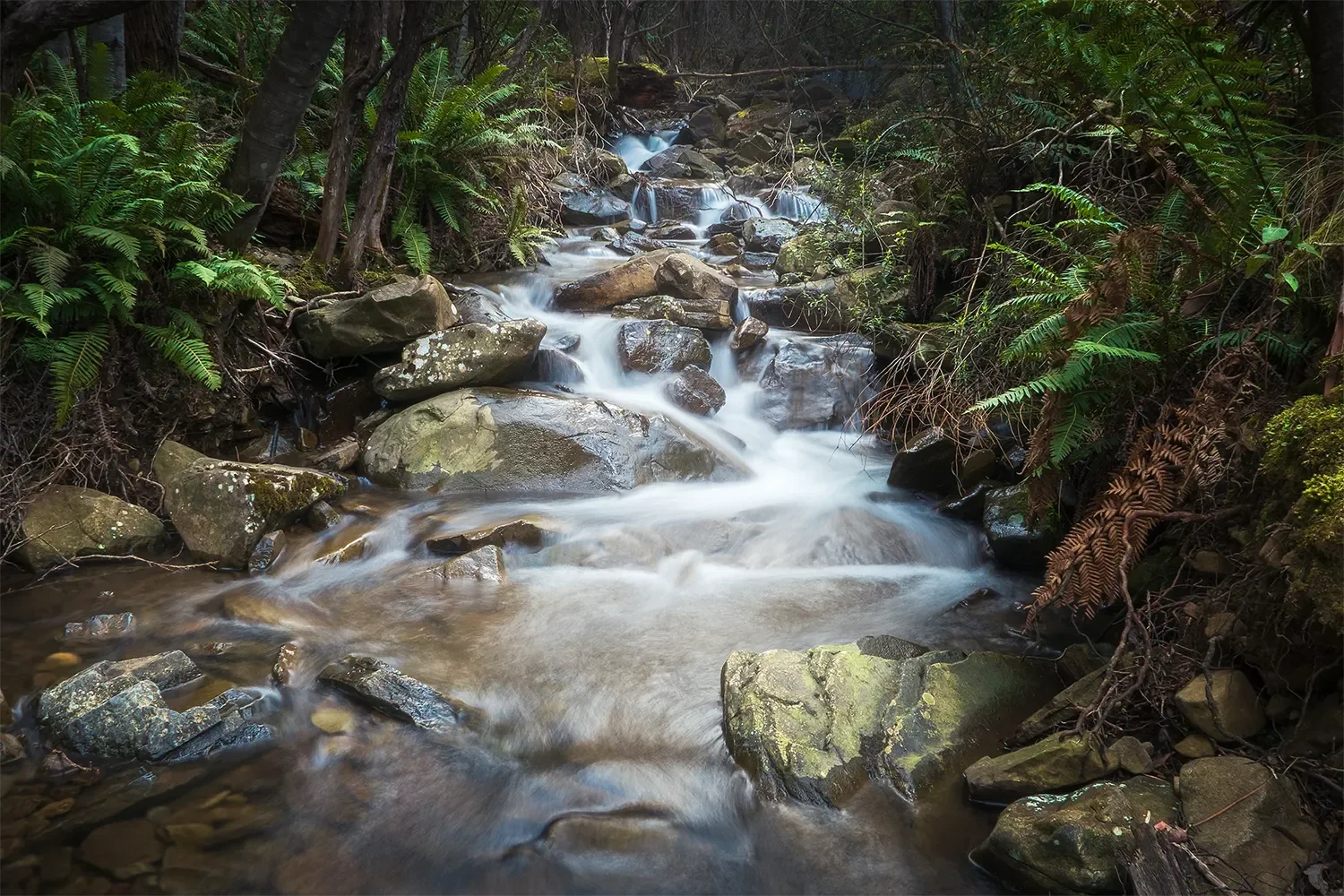 Stream.webp