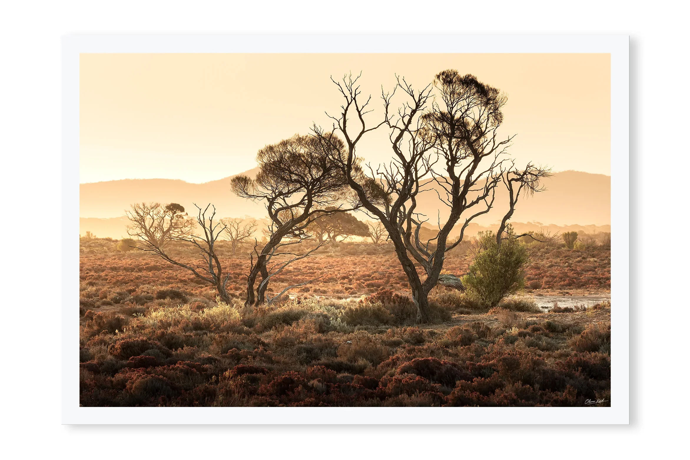 Outback