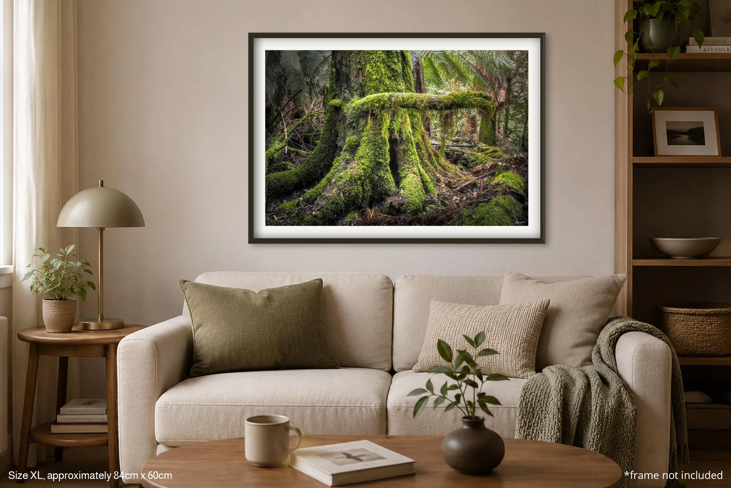 Moss_A1.jpg