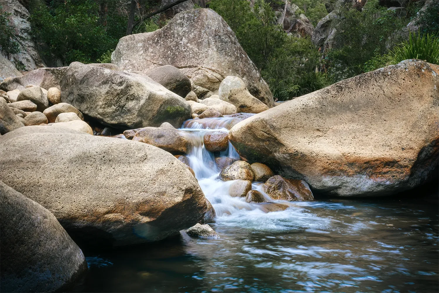 Rocky Creek.webp