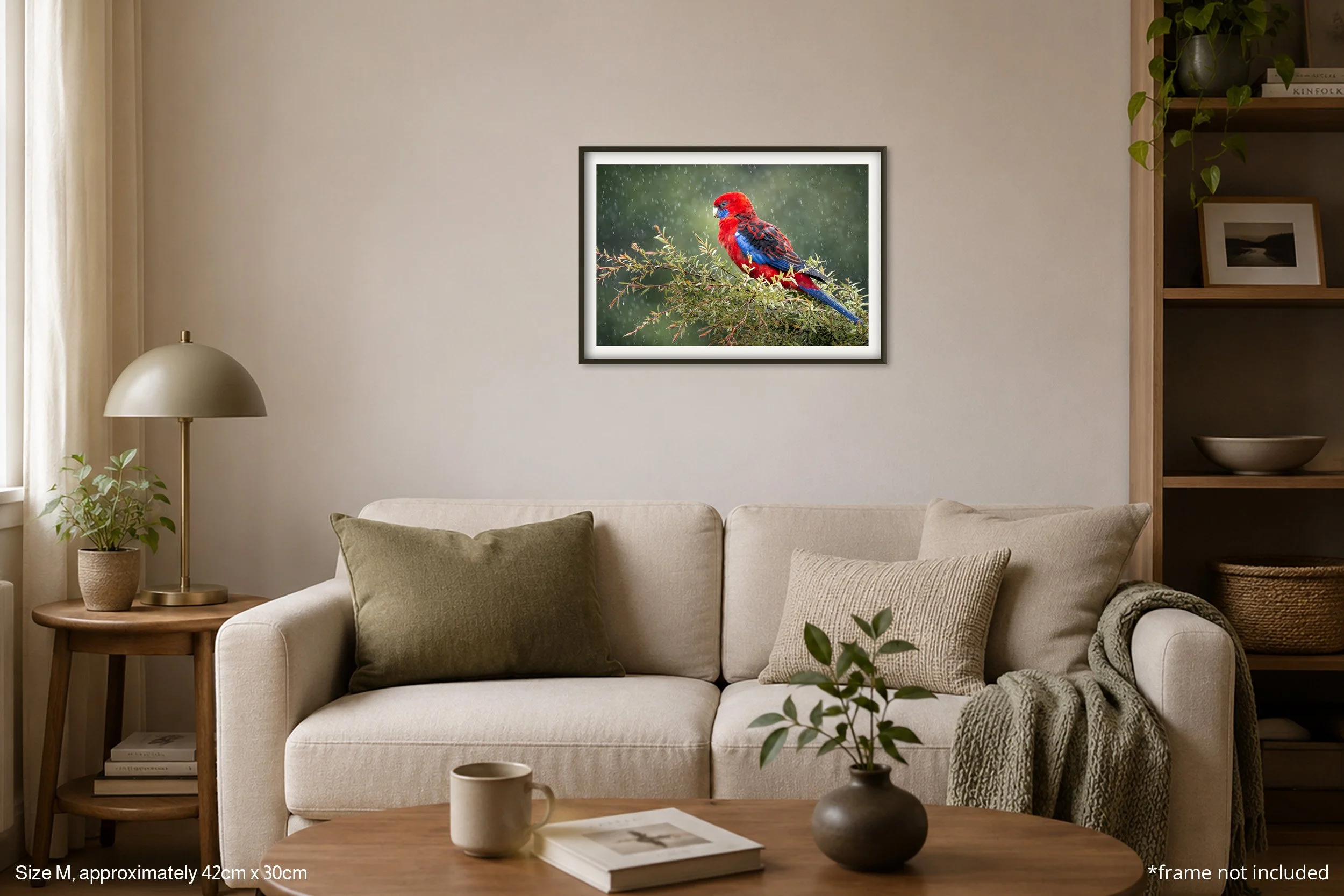 Rosella_A3.jpg