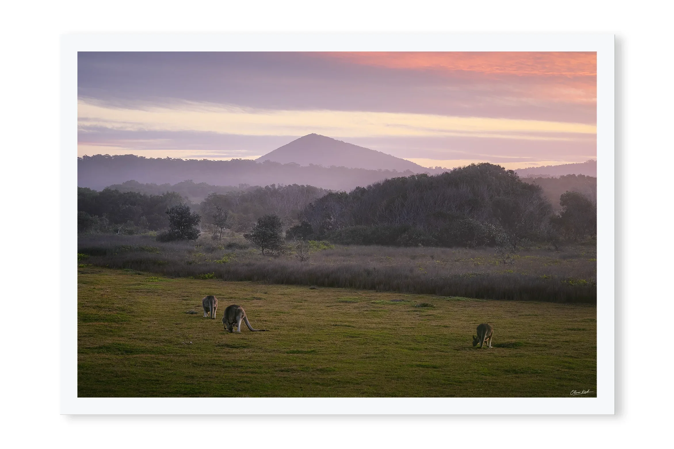 Dawn Gathering