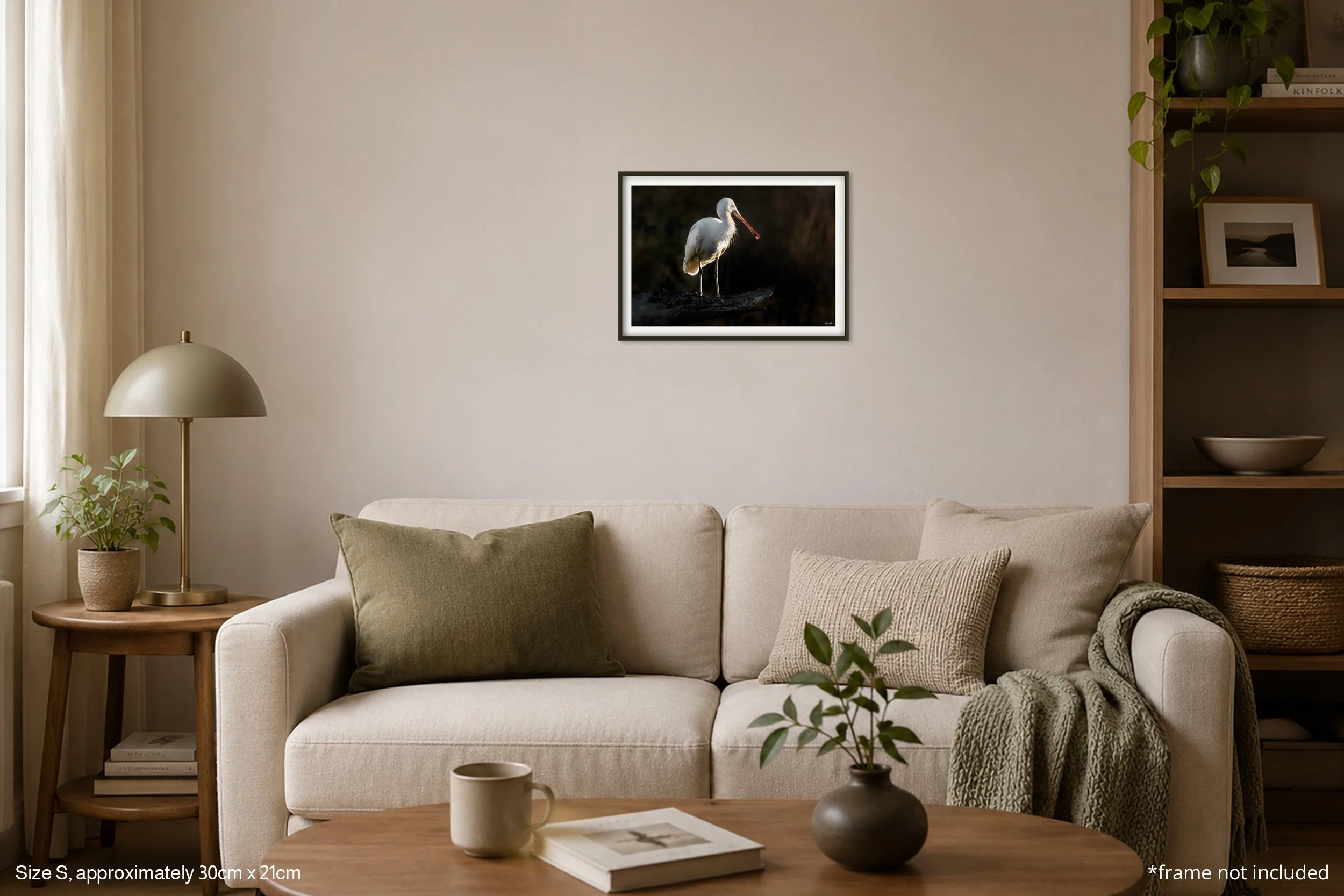 Spoonbill_Wide_A4.jpg