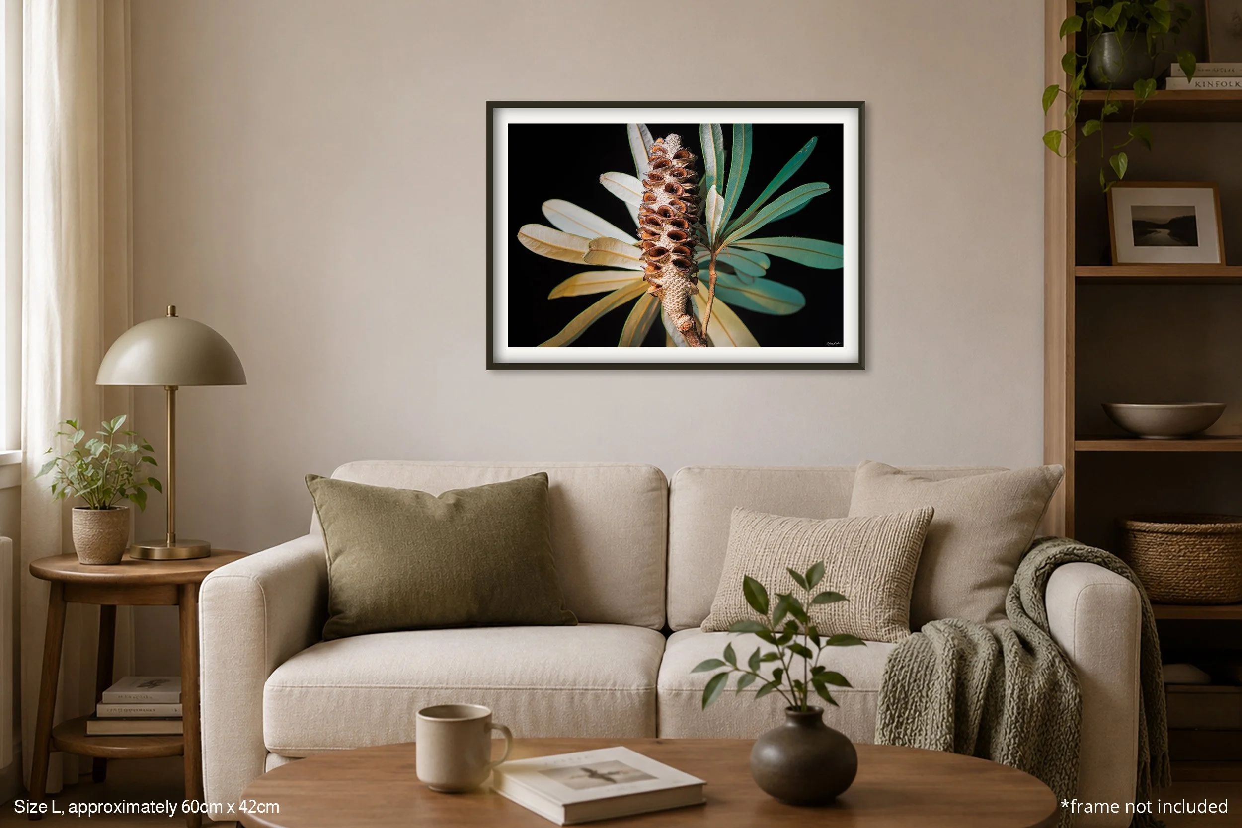 Banksia_A2.jpg