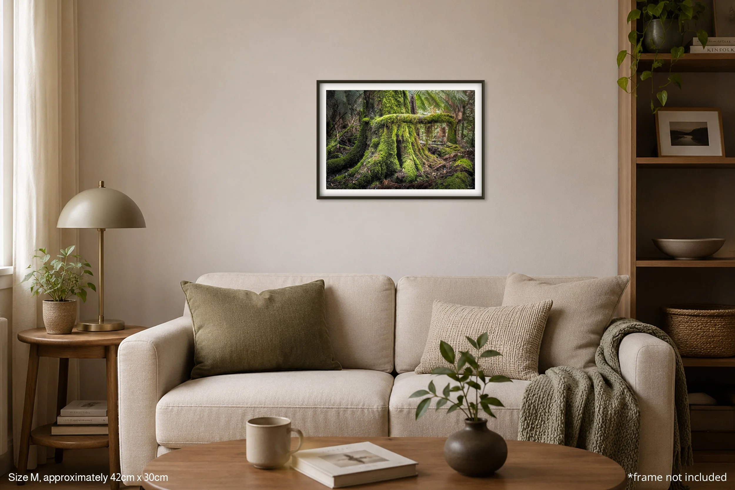 Moss_A3.jpg