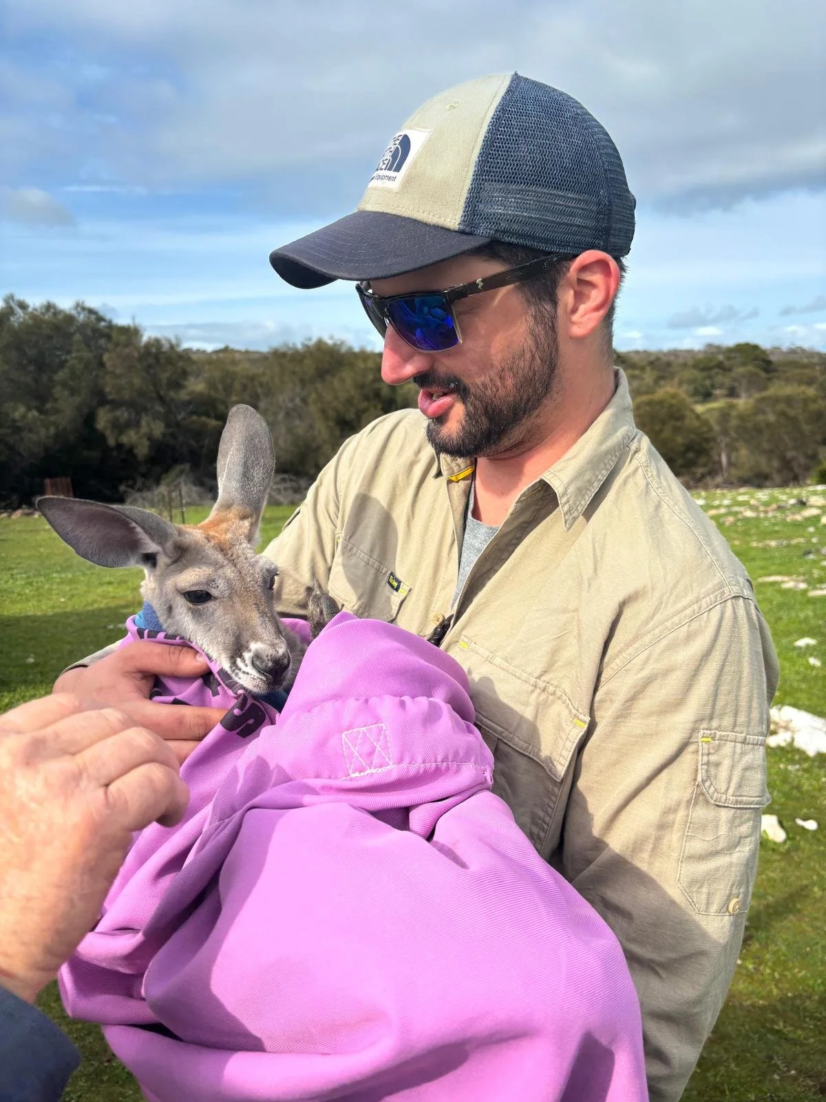 An Australian man with sunglasses holding an orphaned kangaroo joey in a pouch.