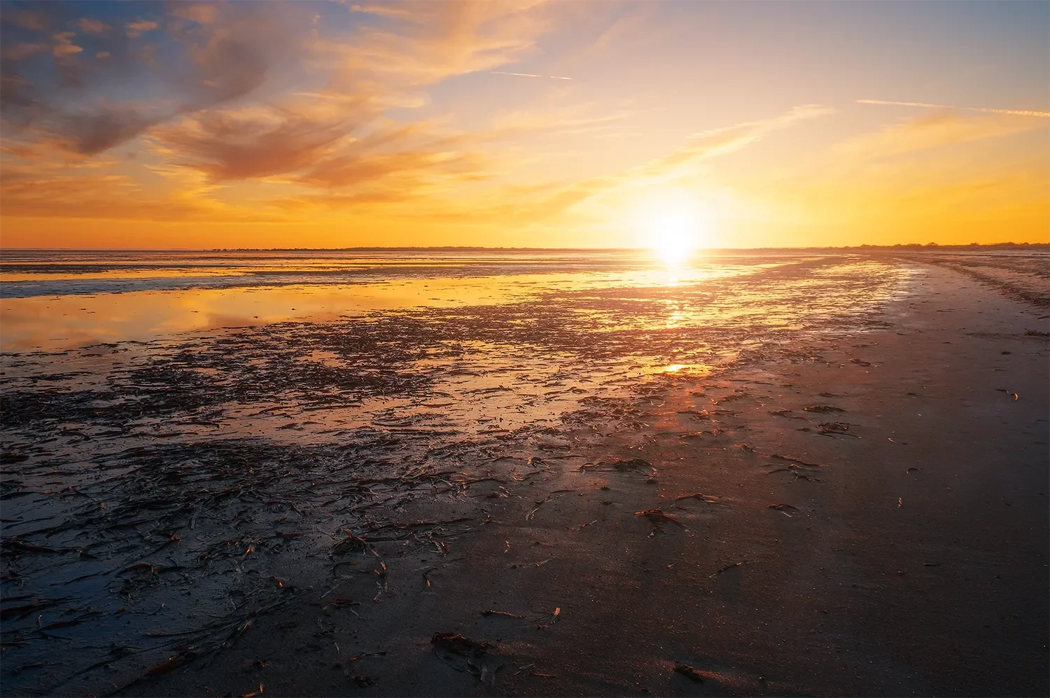 Beach.webp