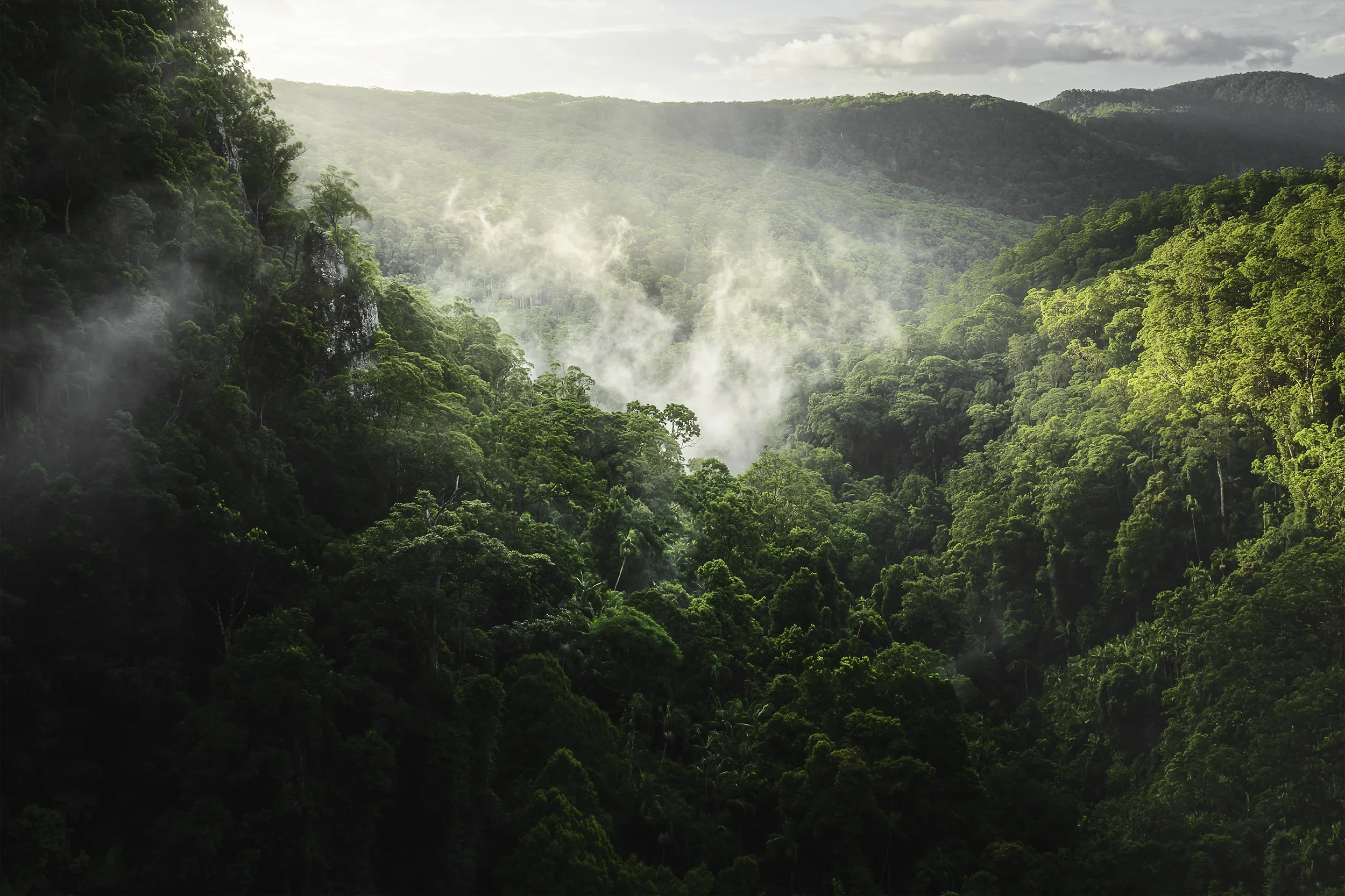 Landscape