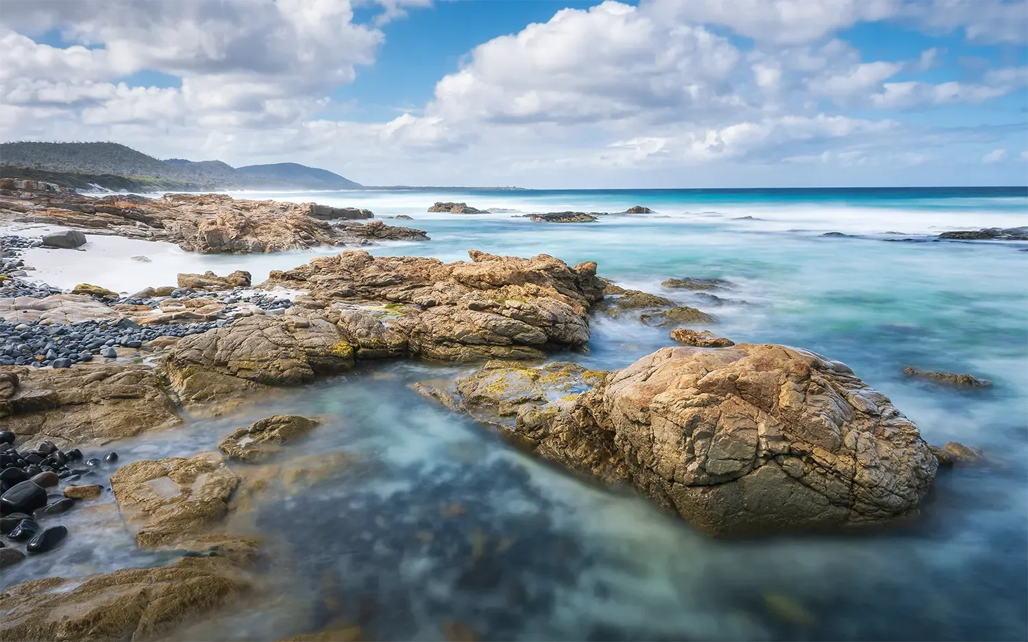 Tassie Blue.webp