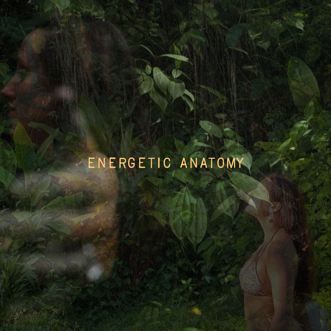 ENERGETIC ANATOMY DEPOSIT
