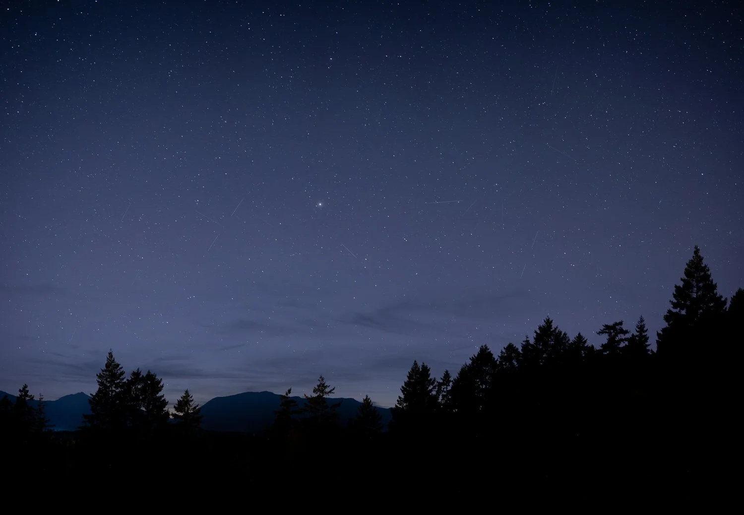 A deep blue night sky full of stars above a silhouetted mountain ridgeline and conifer treeline, Port Alberni.