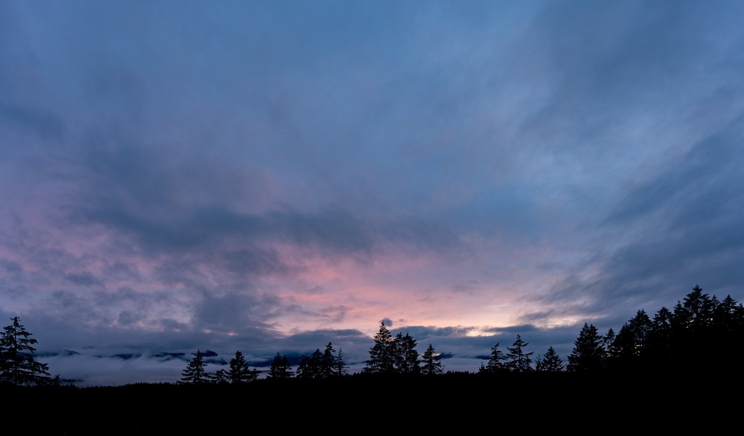 Soft pink and lavender twilight clouds over a silhouetted treeline, with a low ribbon of fog settling among the firs, Port Alberni.
