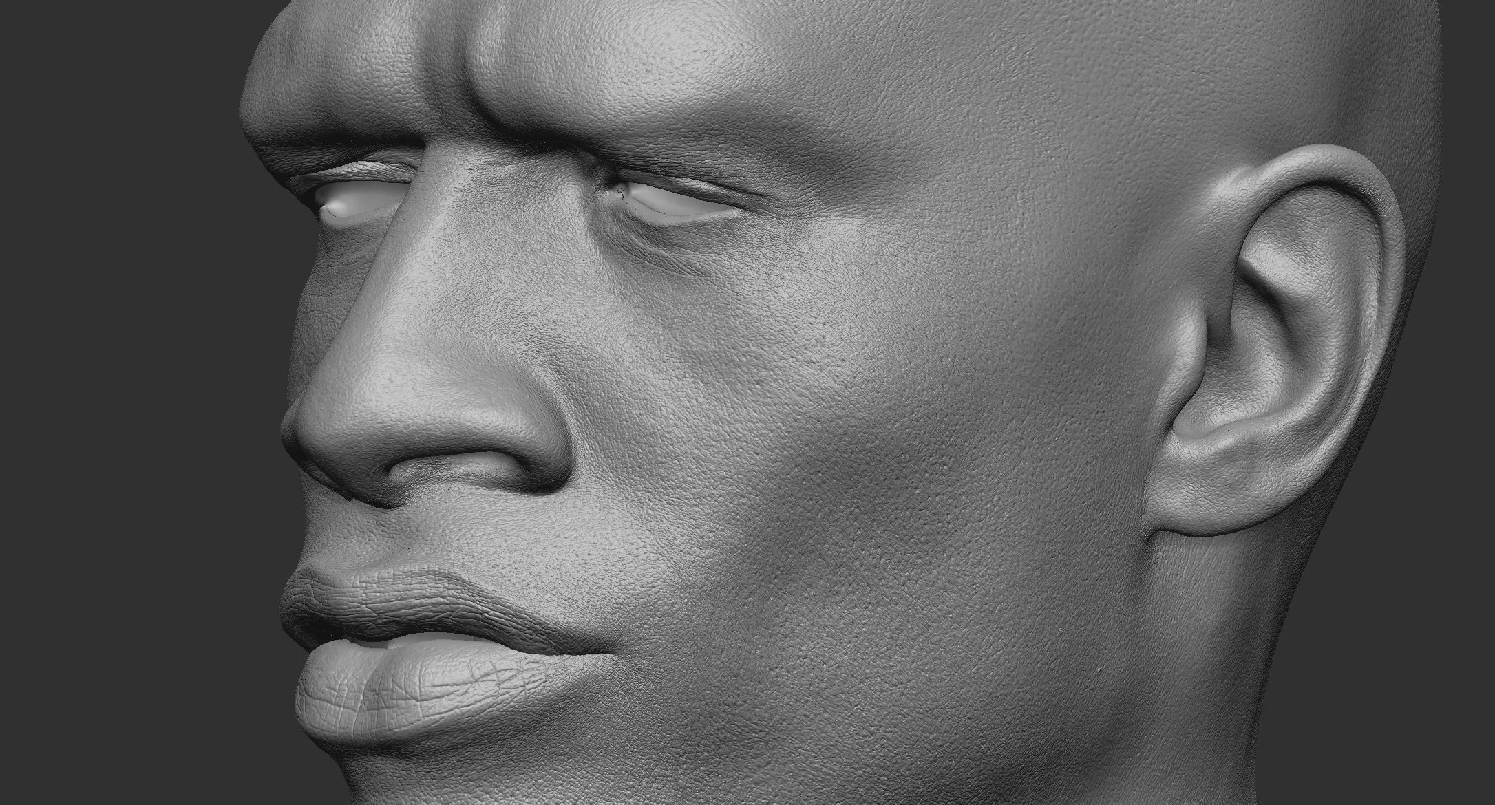 Harv_closeup_v002.jpg