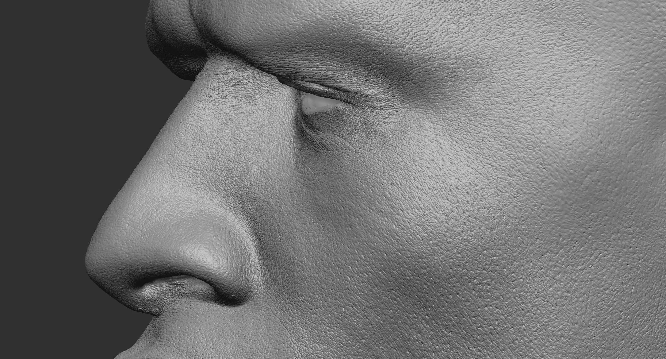 Harv_closeup_v007.jpg