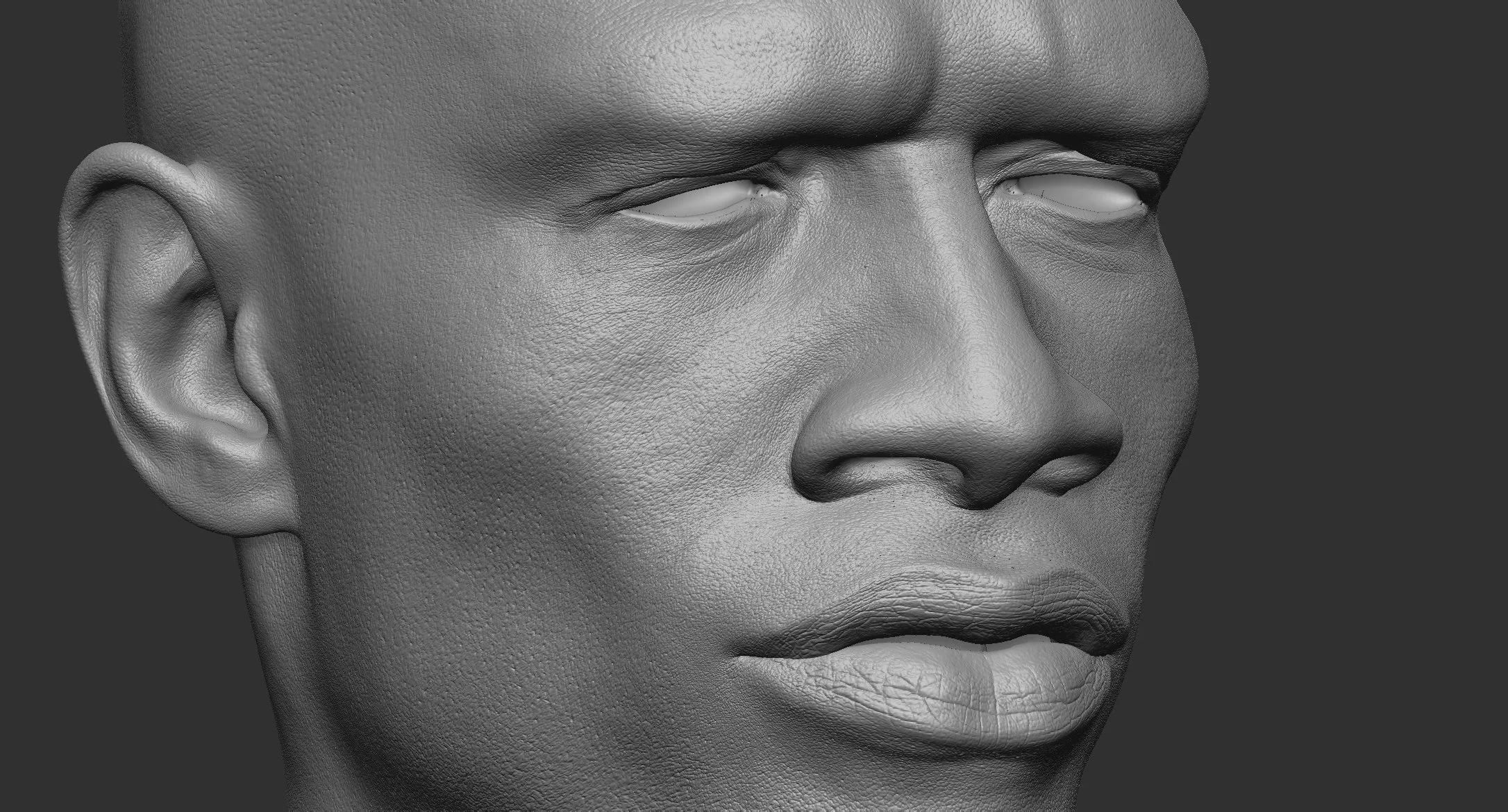 Harv_closeup_v004.jpg