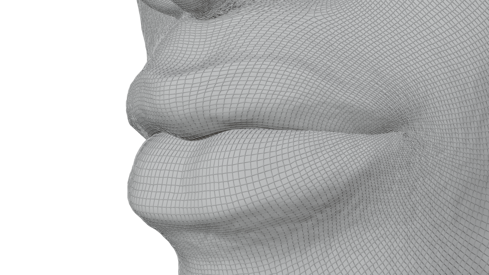 MaleHead_Mouth_wireframe_240324.png