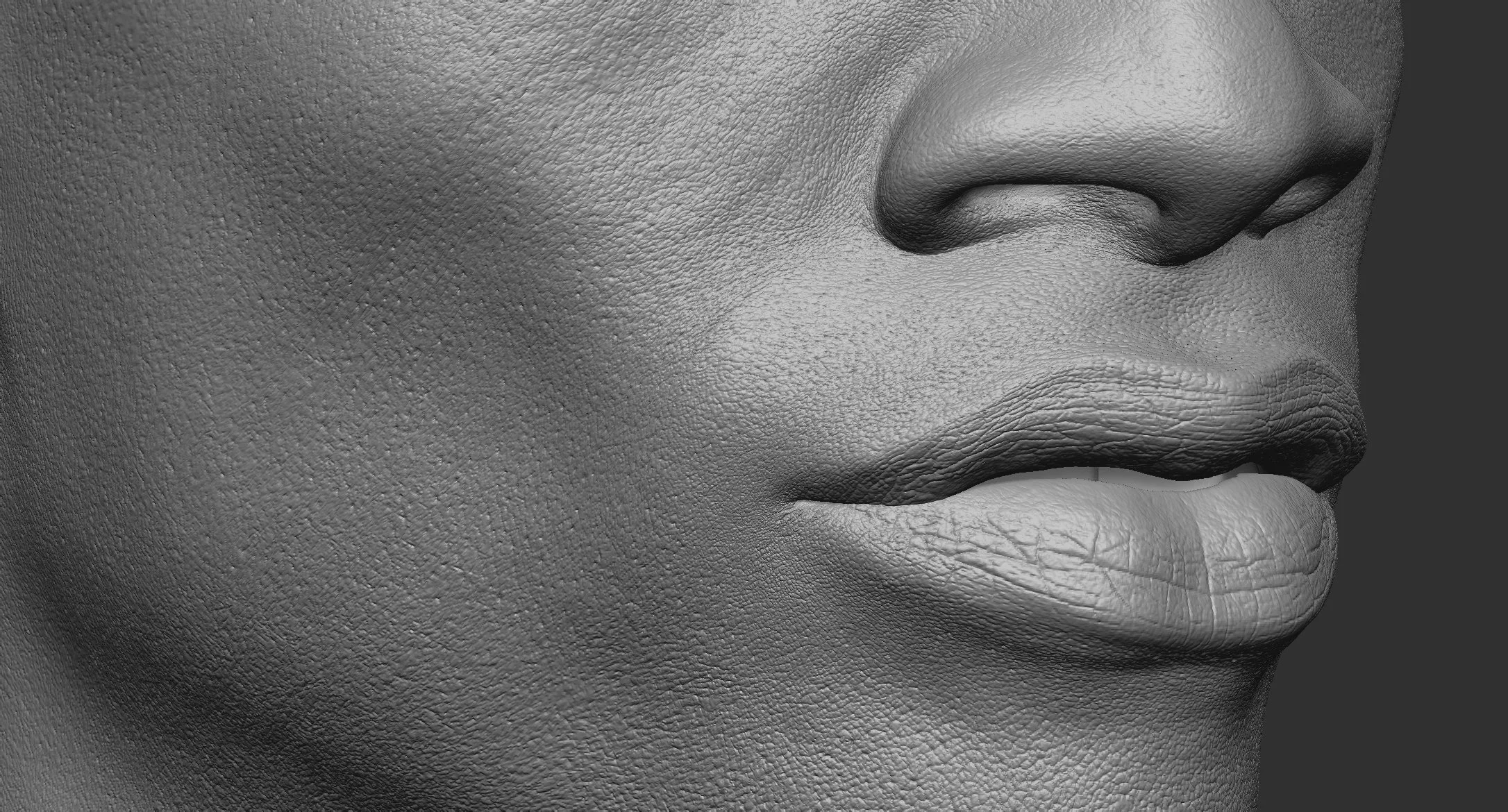 Harv_closeup_v005.jpg