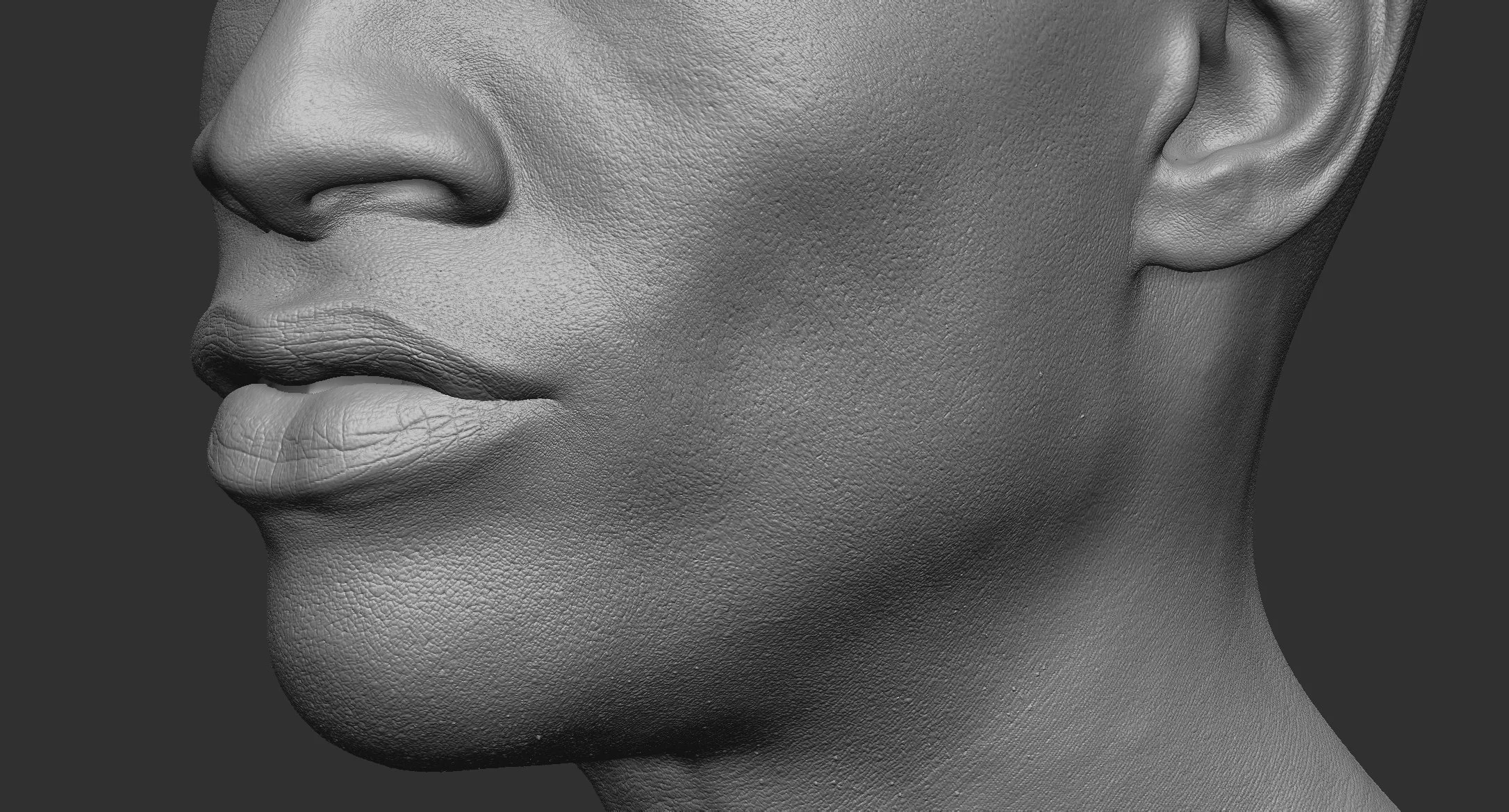Harv_closeup_v001.jpg