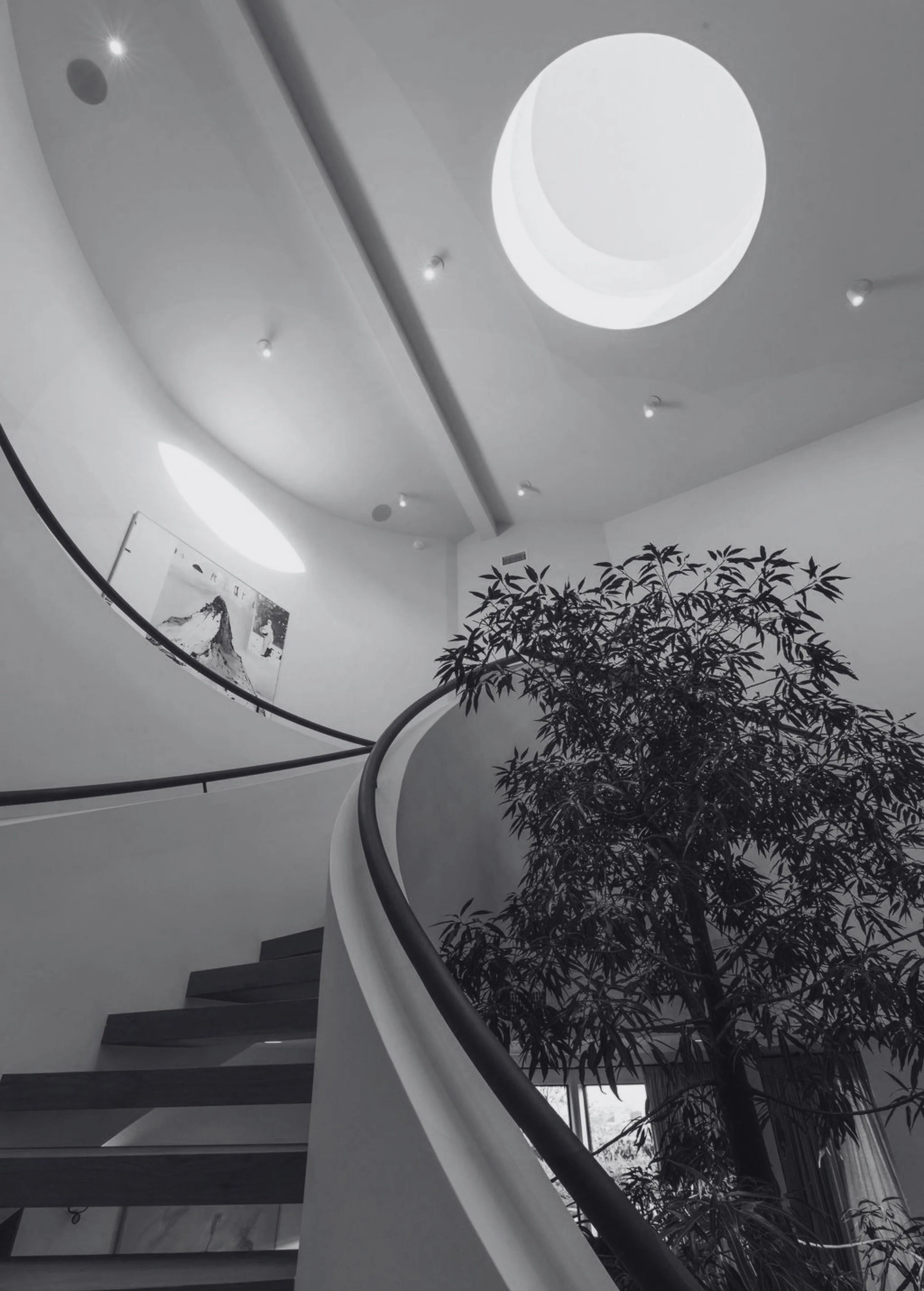 Interior view of a modern building with a curved staircase, a large round skylight on the ceiling, a potted plant, and artwork on the wall.